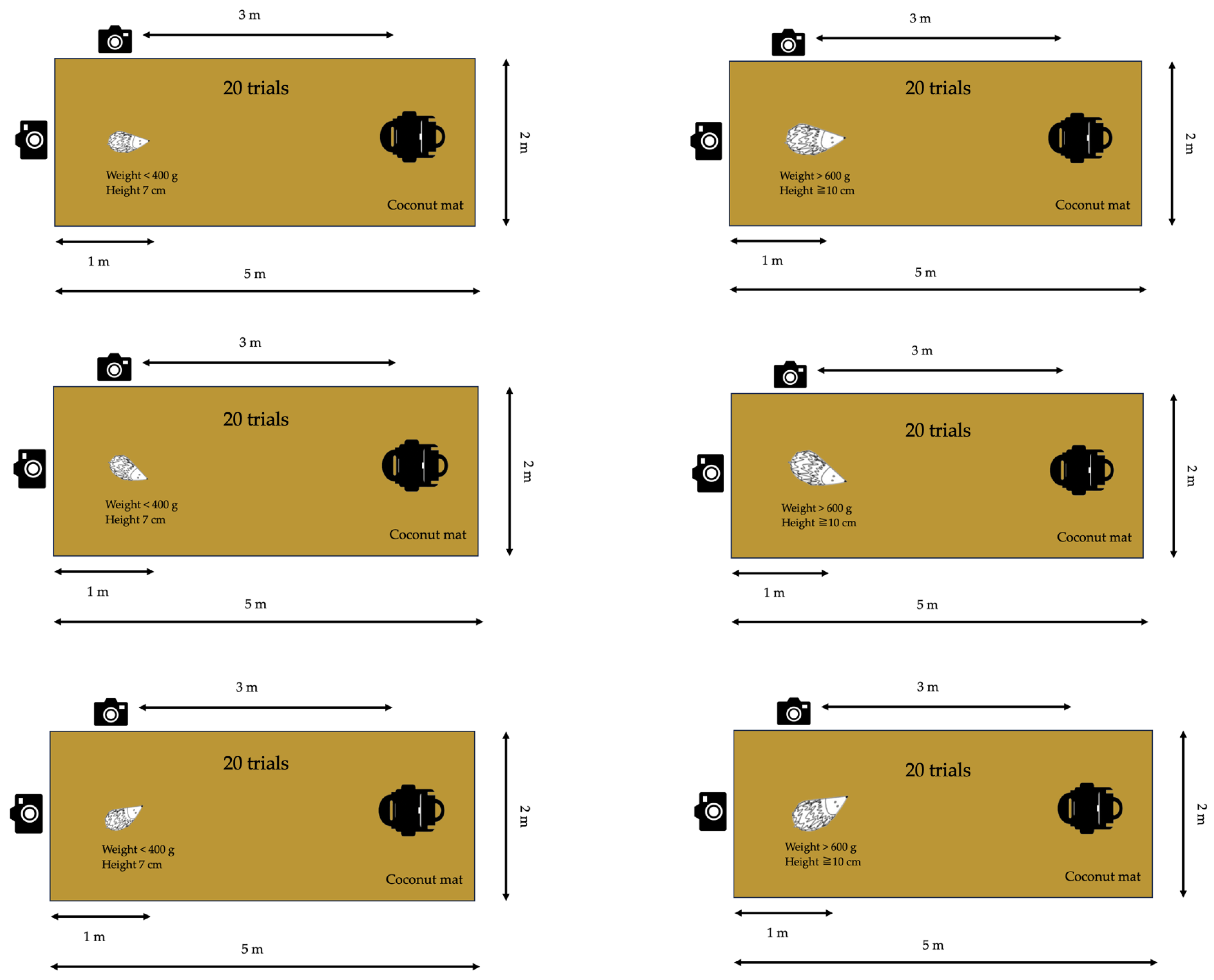 Animals 14 00122 g006