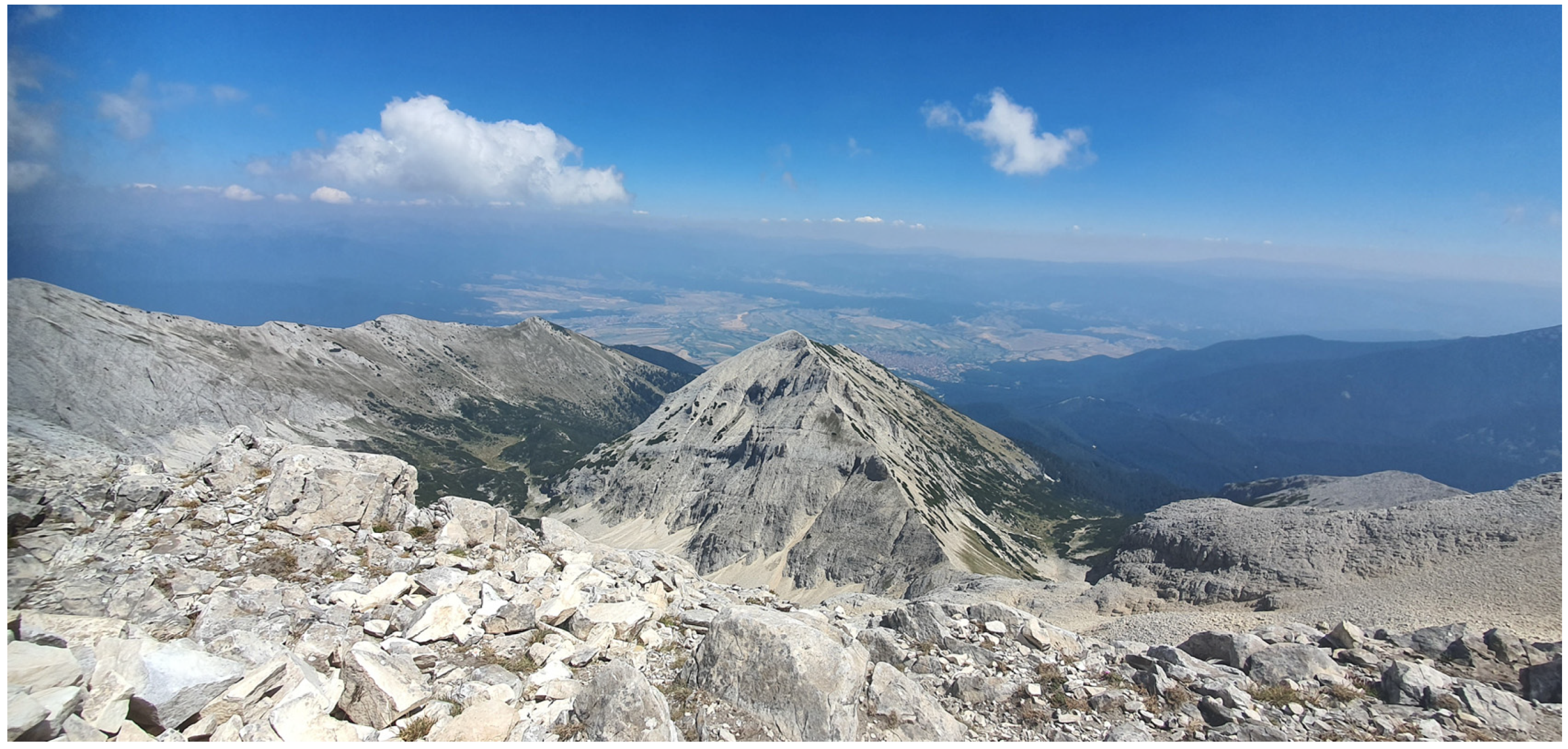 Animals 14 00126 g001