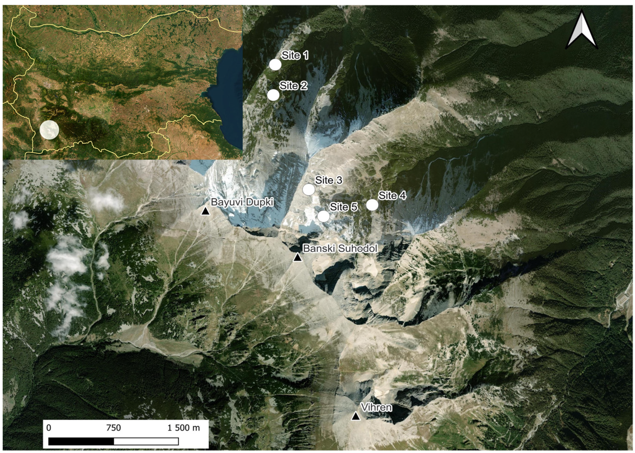 Animals 14 00126 g002