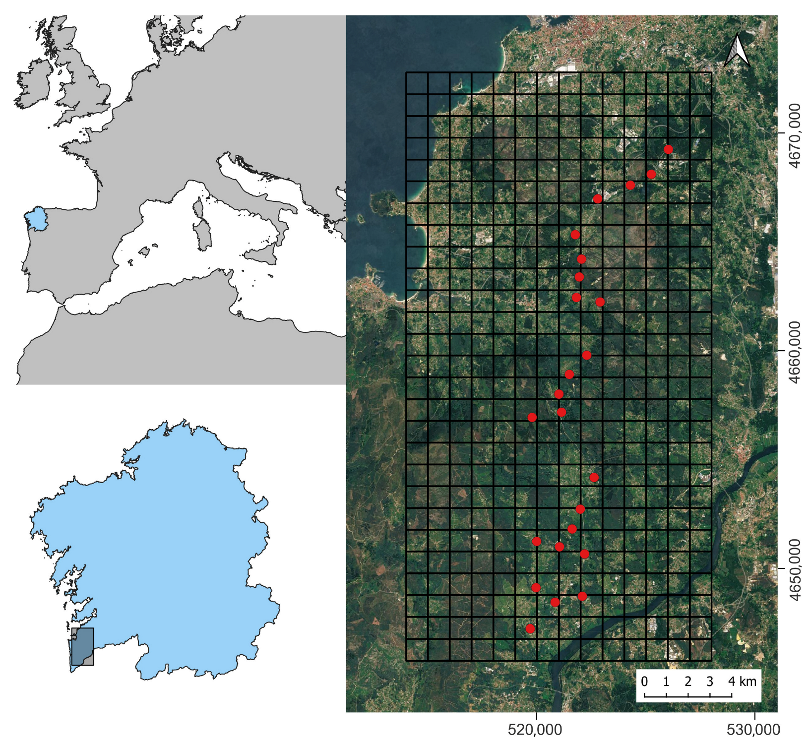 Animals 14 00129 g002