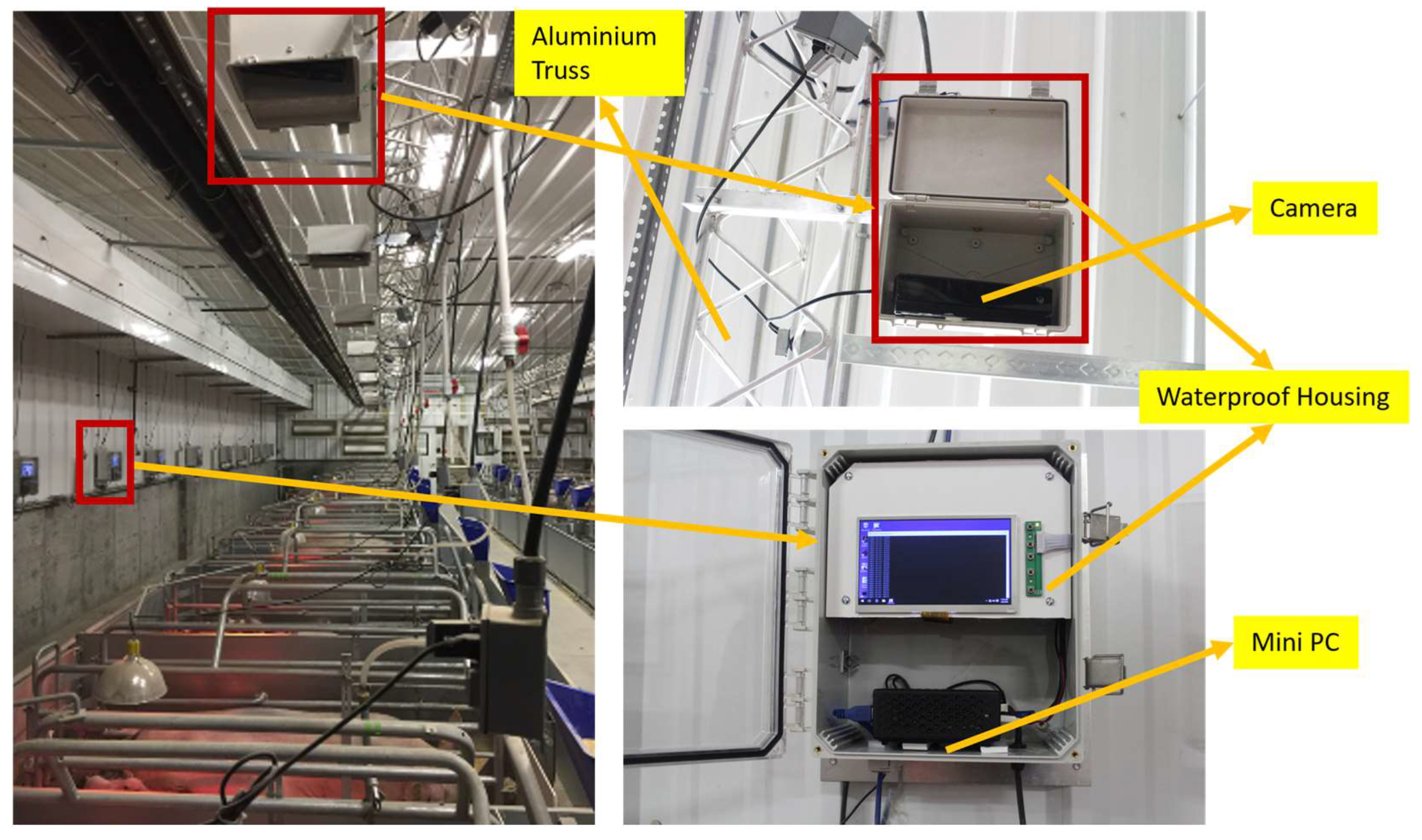 Animals 14 00131 g001