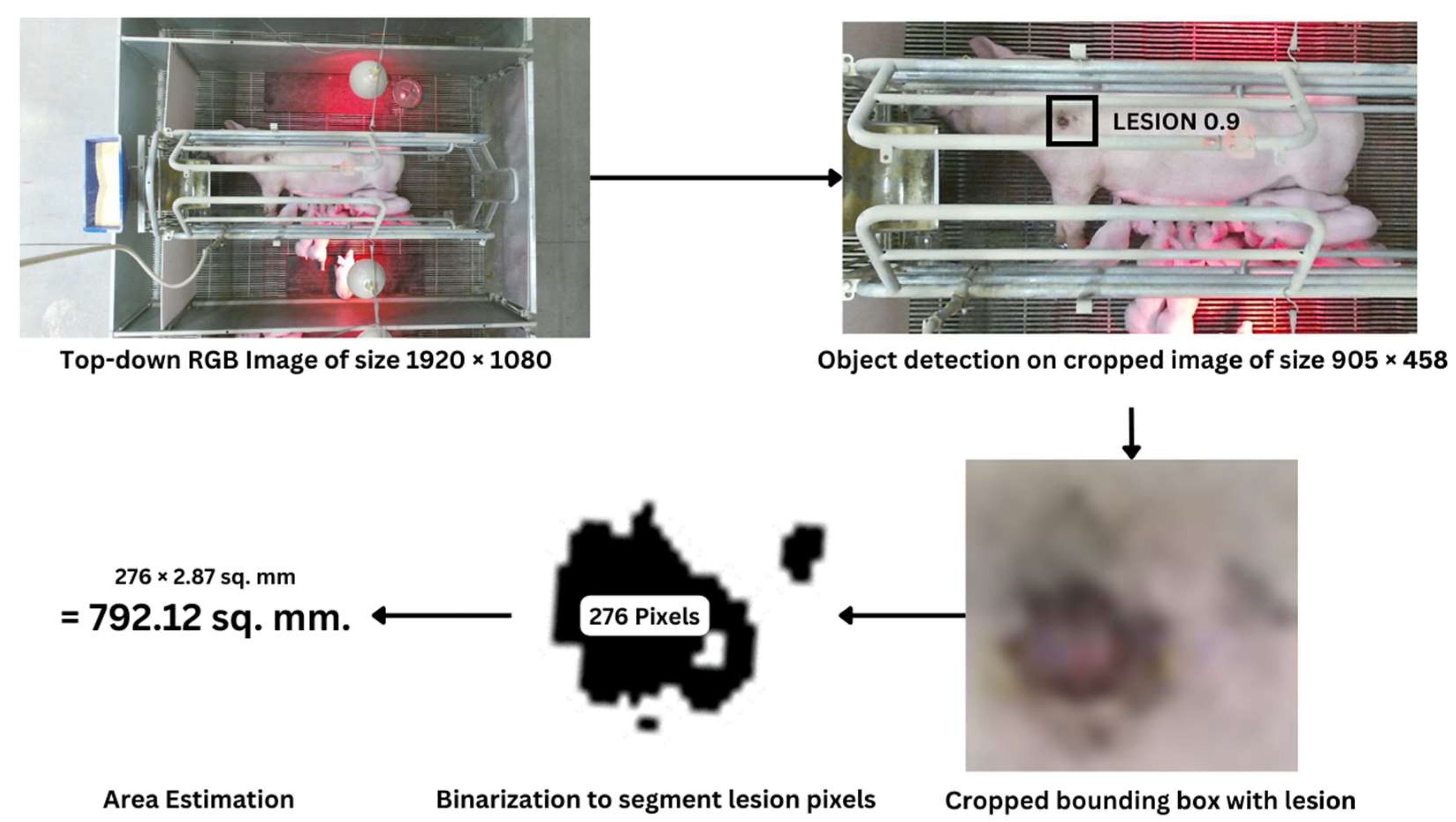 Animals 14 00131 g006