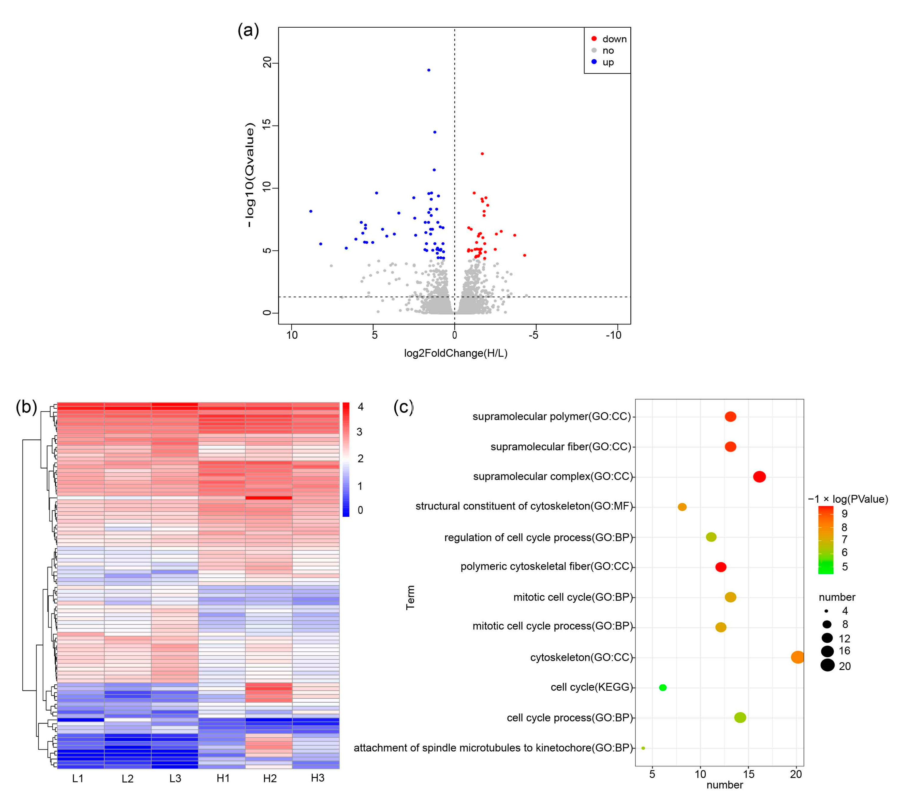 Animals 14 00173 g001