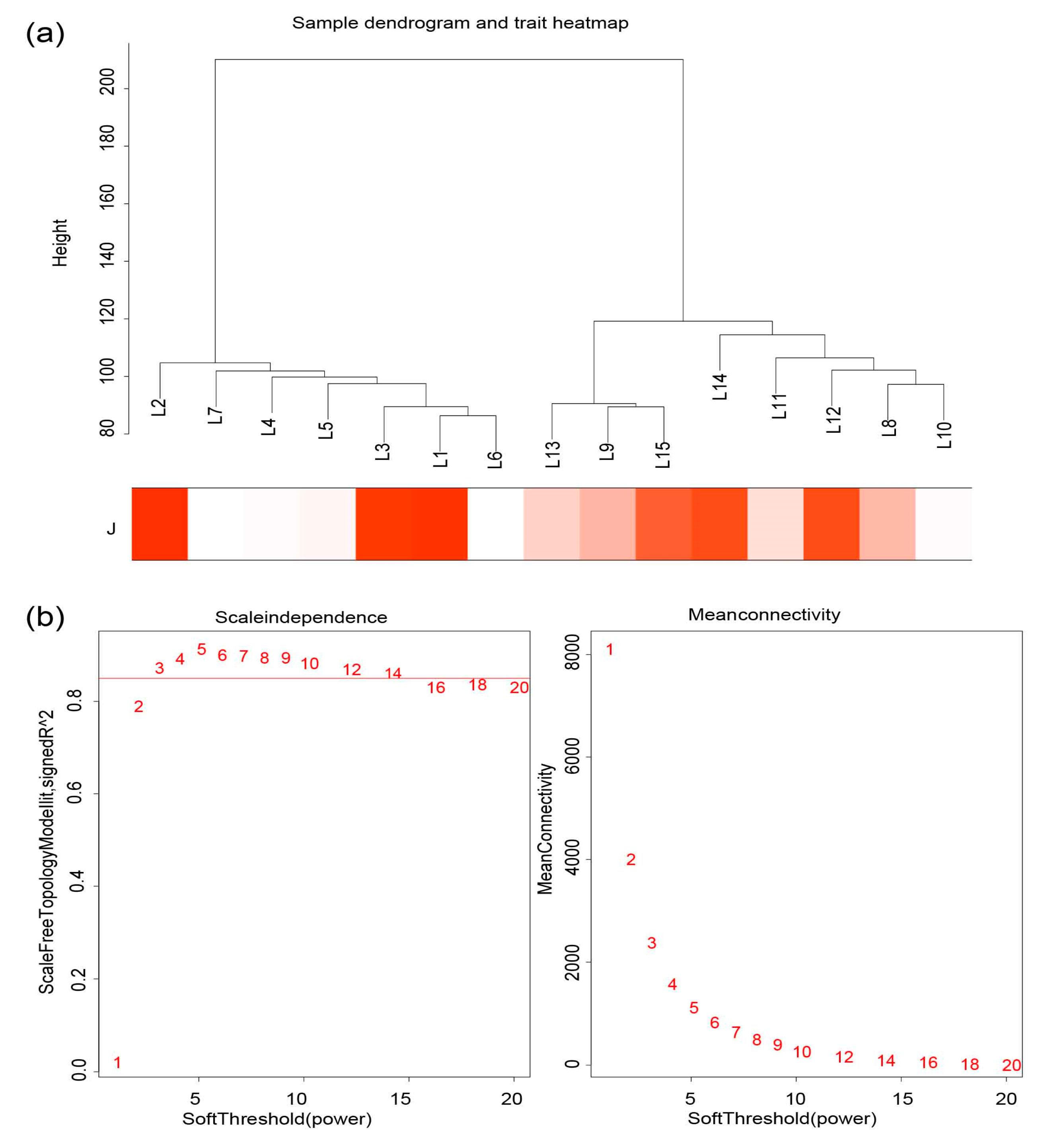 Animals 14 00173 g002