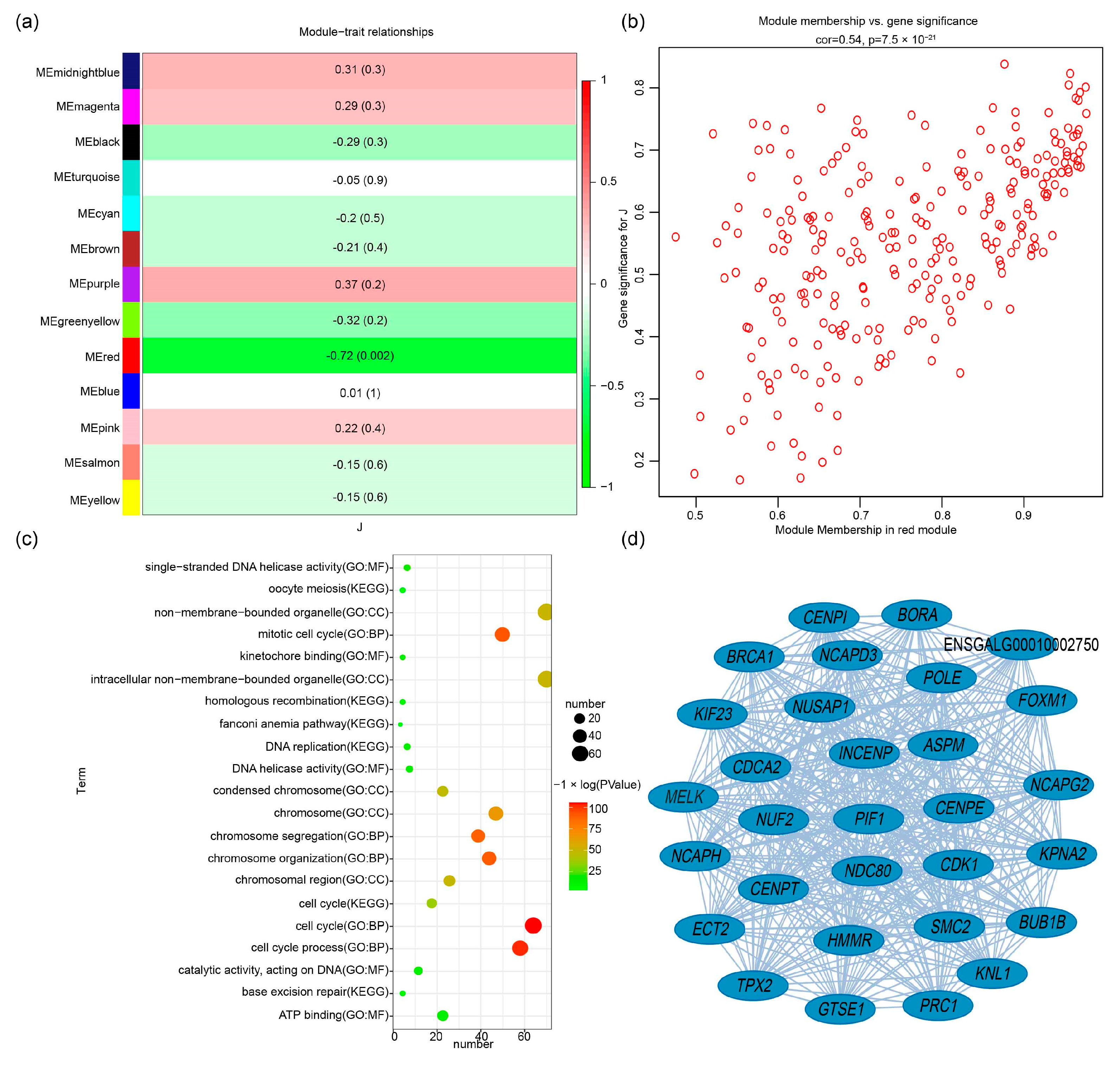 Animals 14 00173 g003