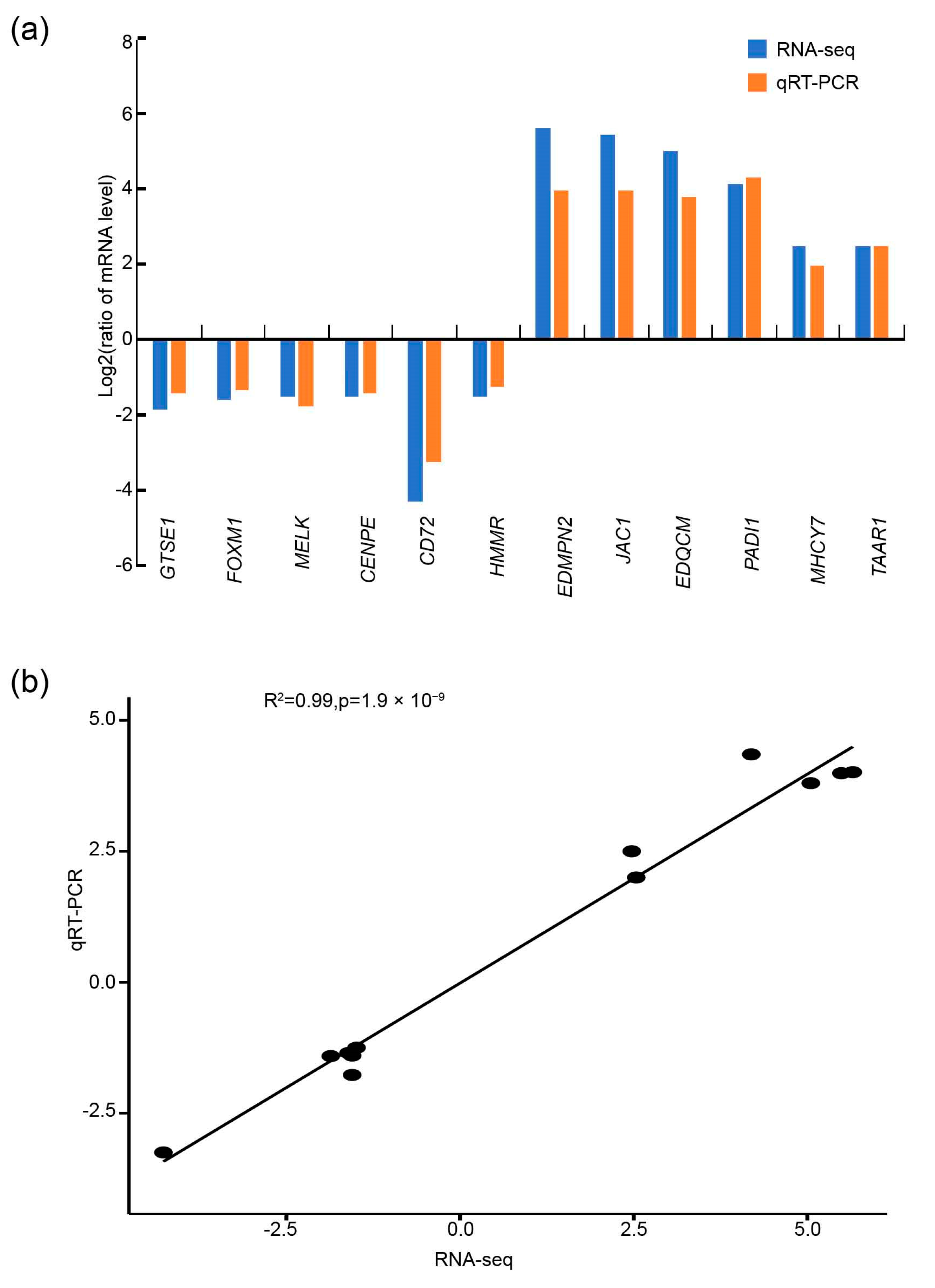 Animals 14 00173 g004