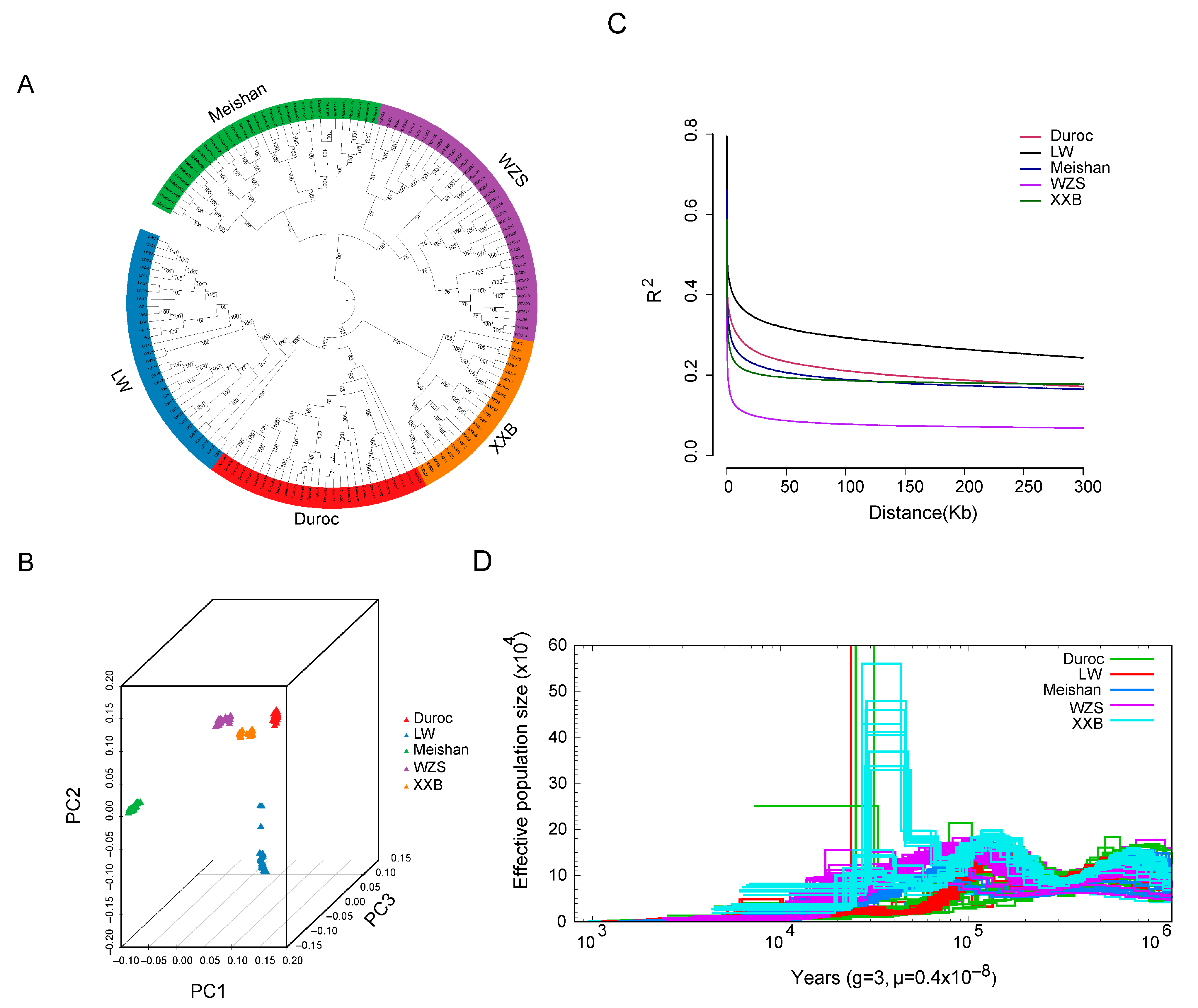 Animals 14 00174 g002