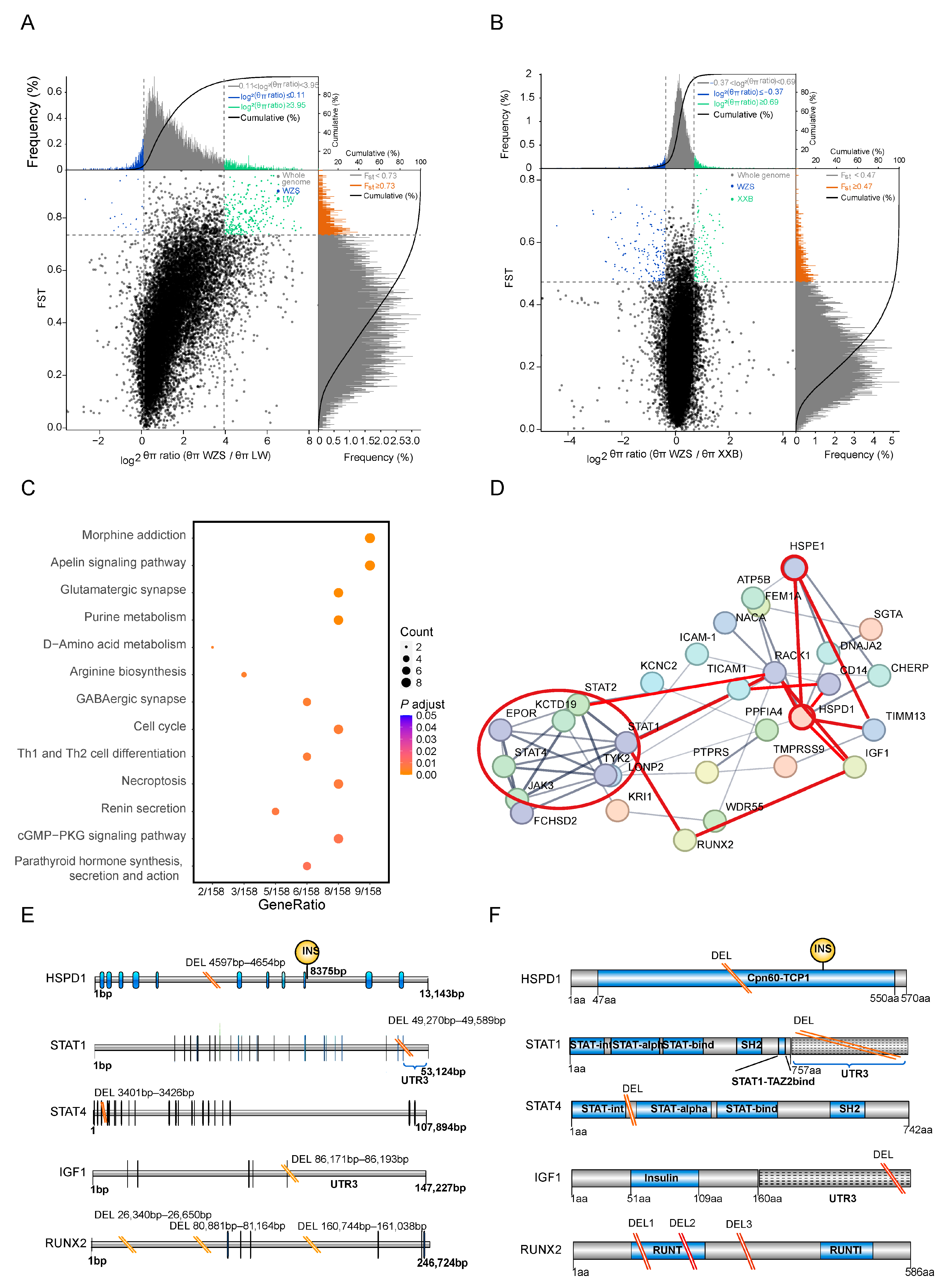 Animals 14 00174 g004