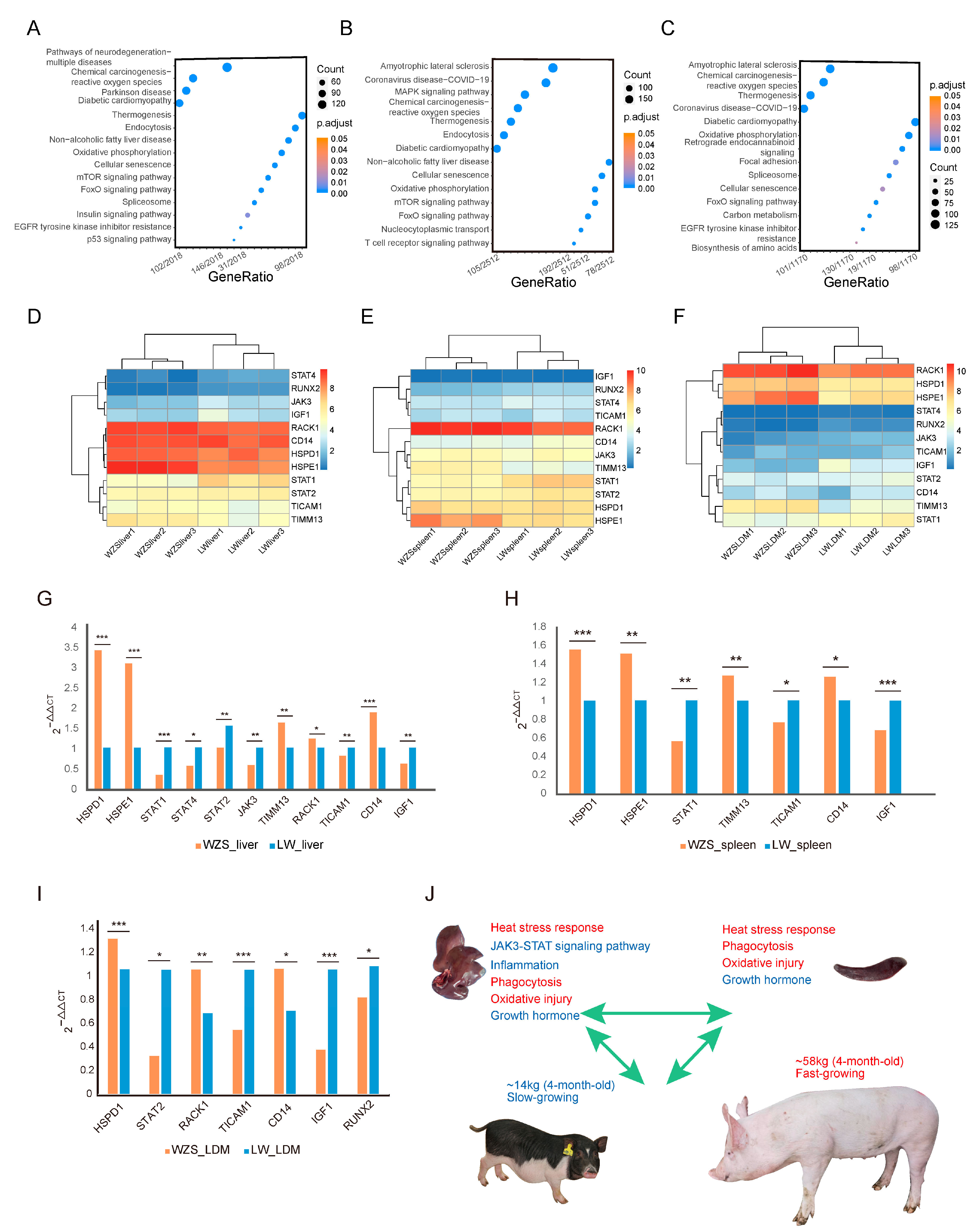Animals 14 00174 g005