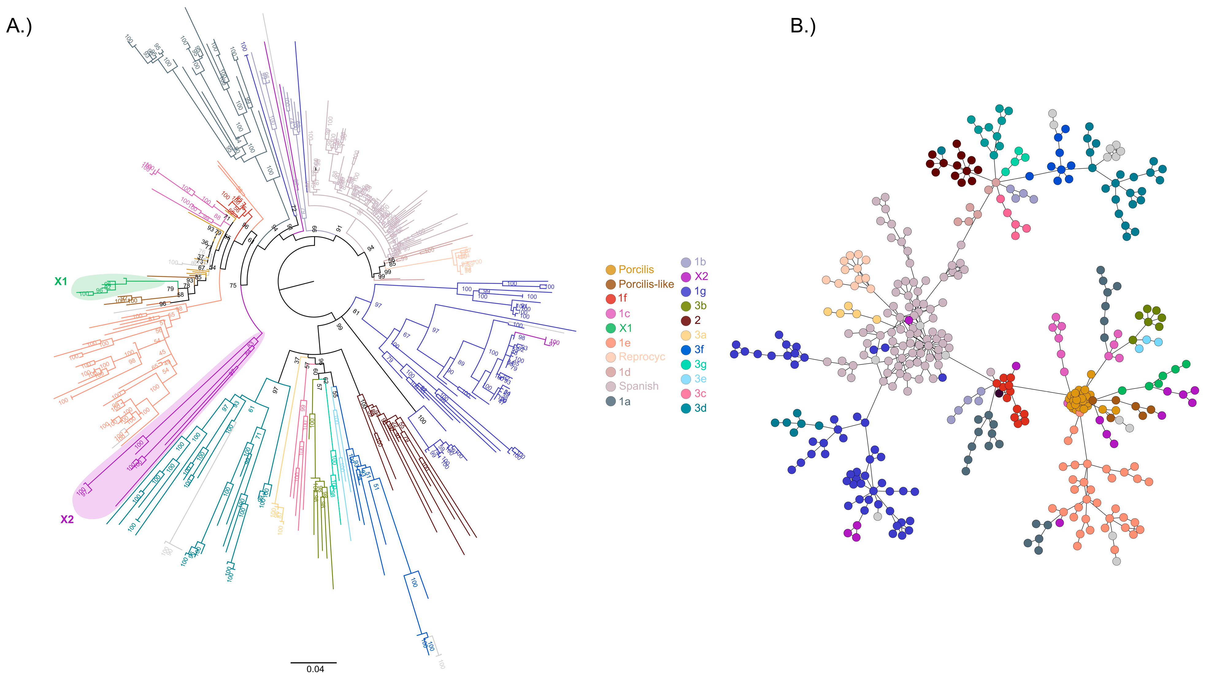 Animals 14 00175 g001