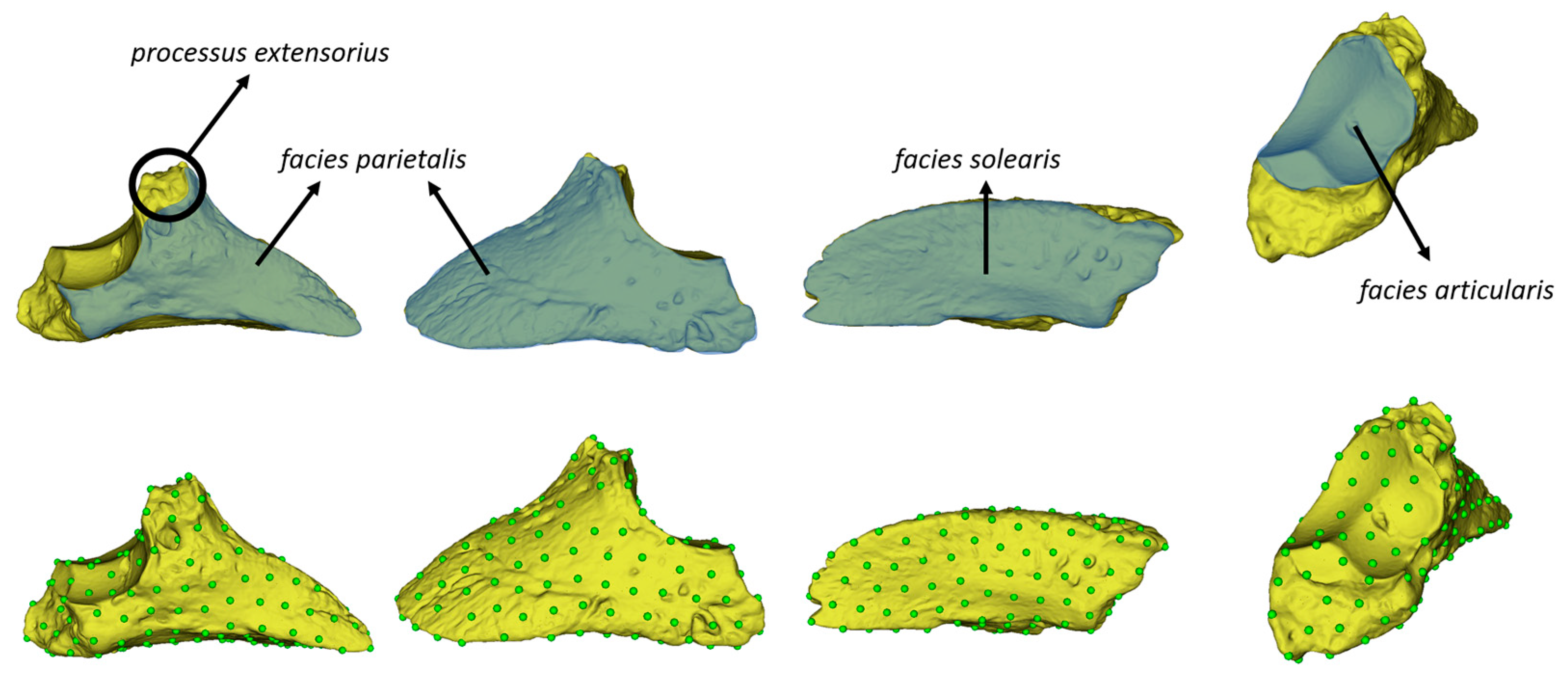 Animals 14 00194 g002
