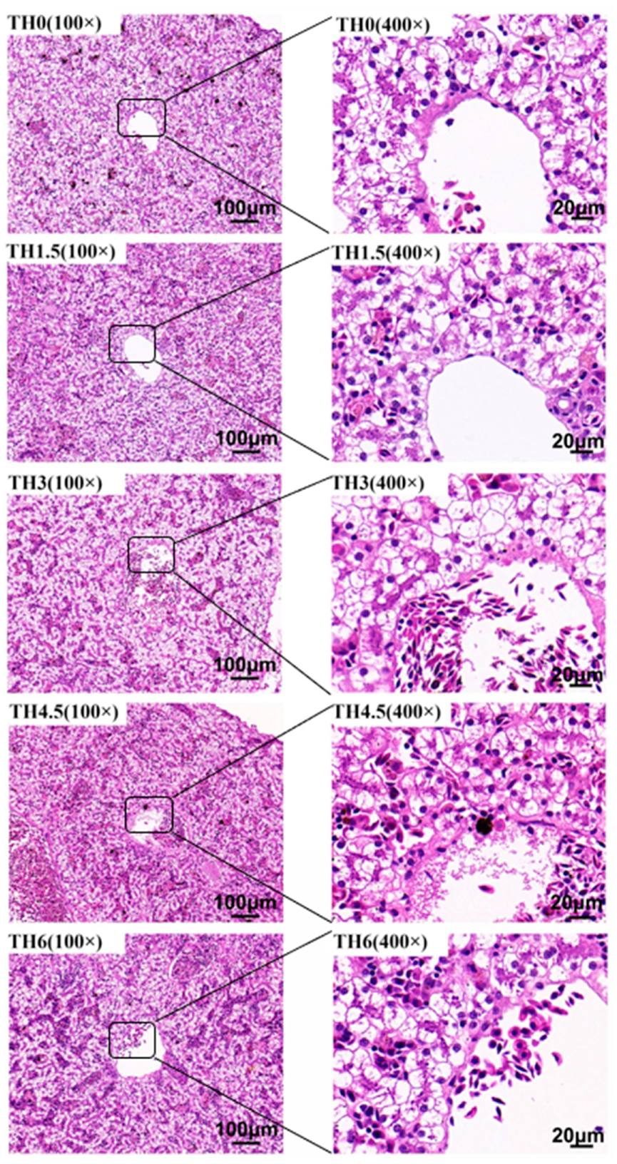 Animals 14 00208 g004