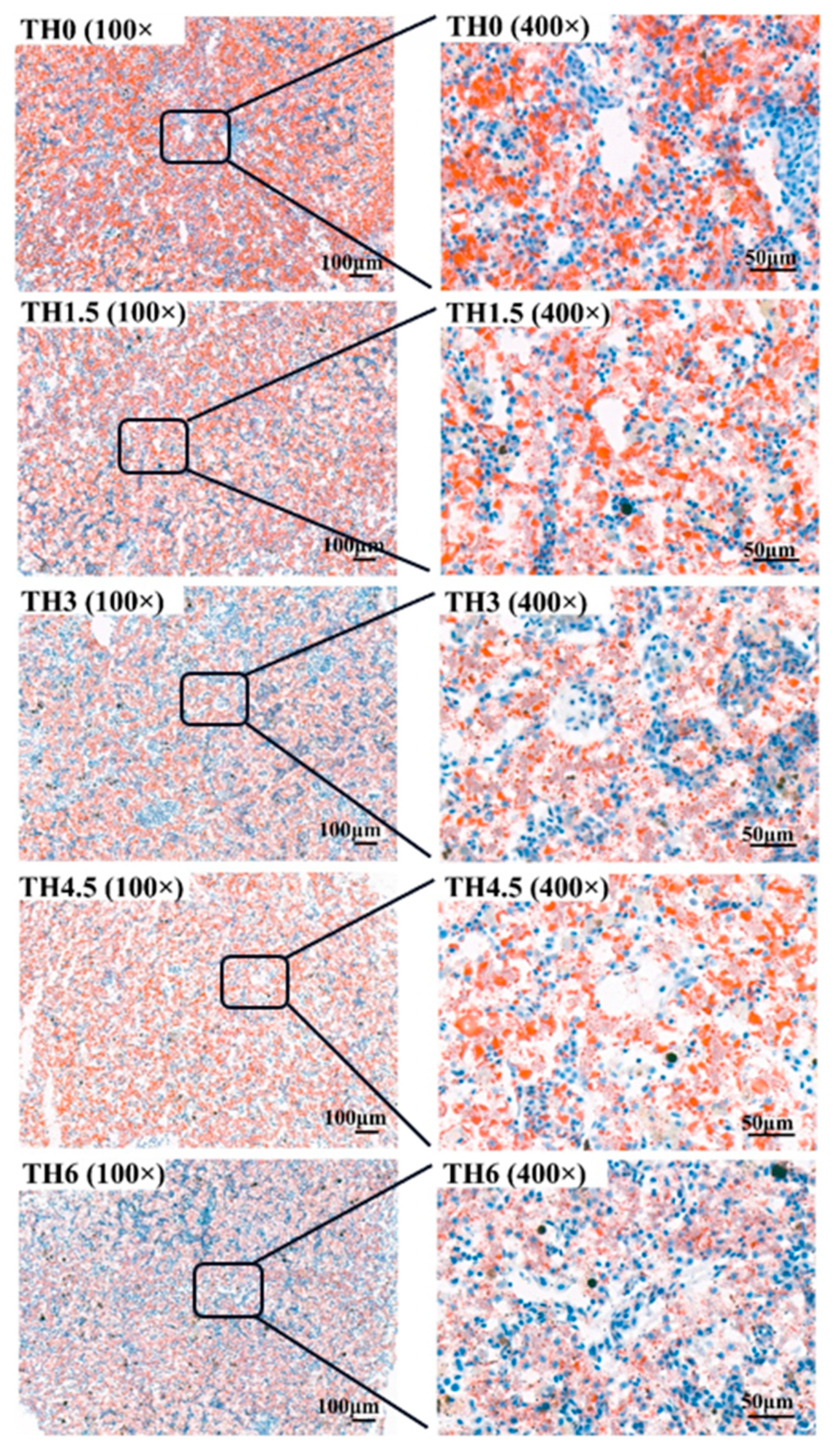 Animals 14 00208 g005