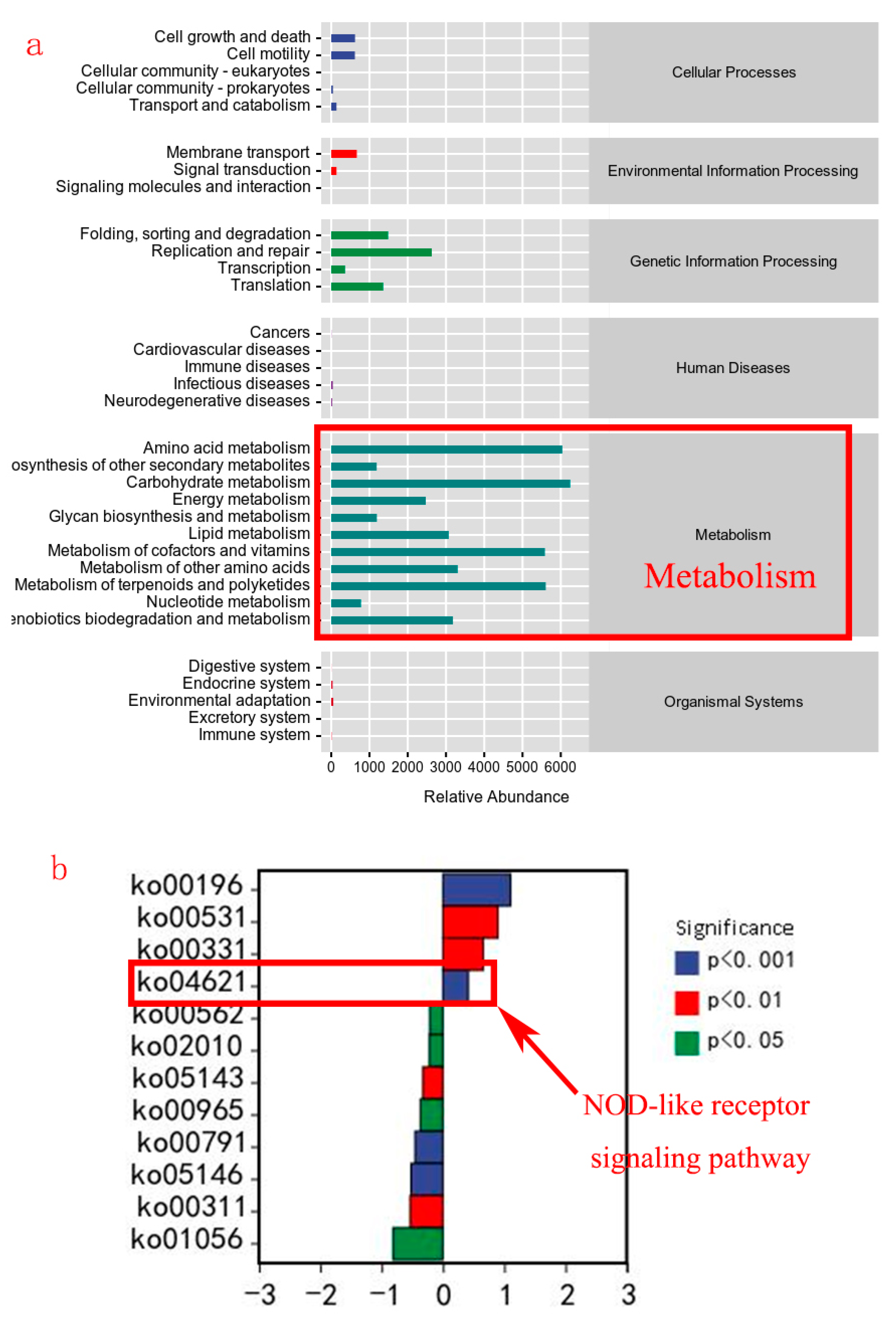 Animals 14 00208 g010
