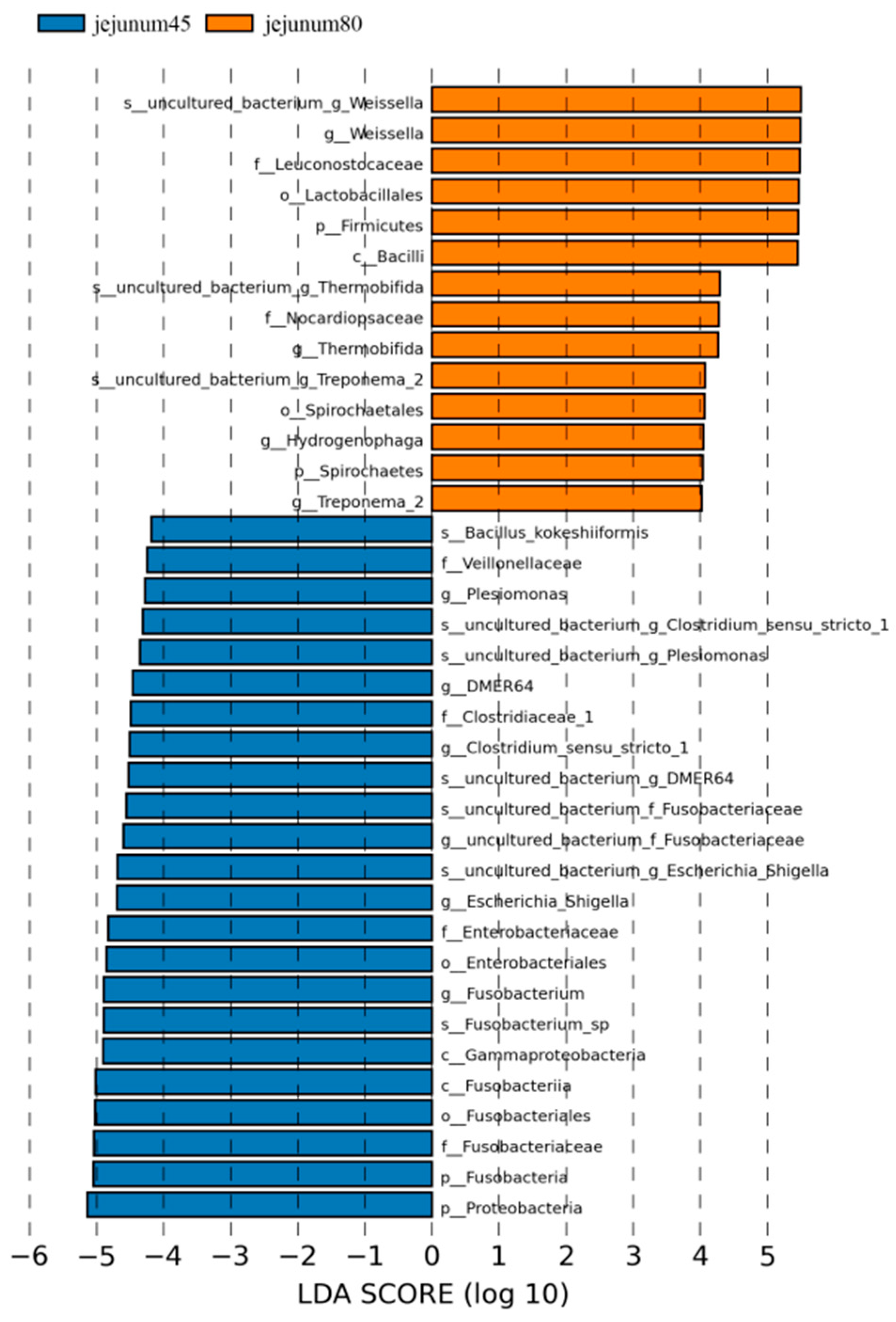 Animals 14 00210 g006