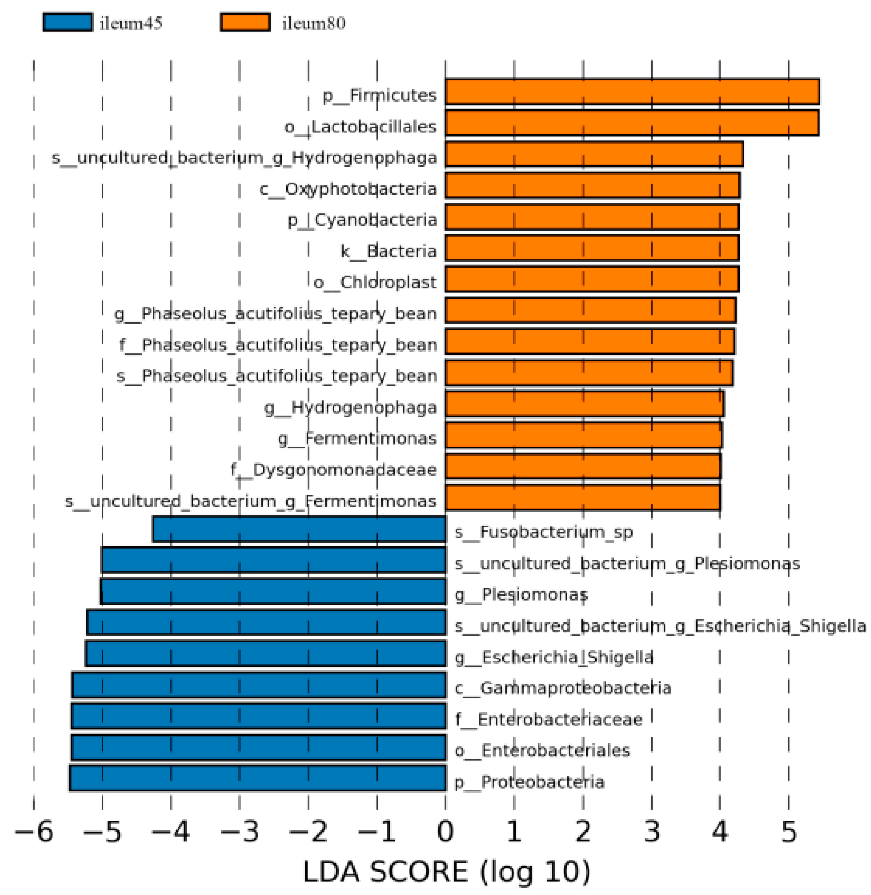 Animals 14 00210 g007