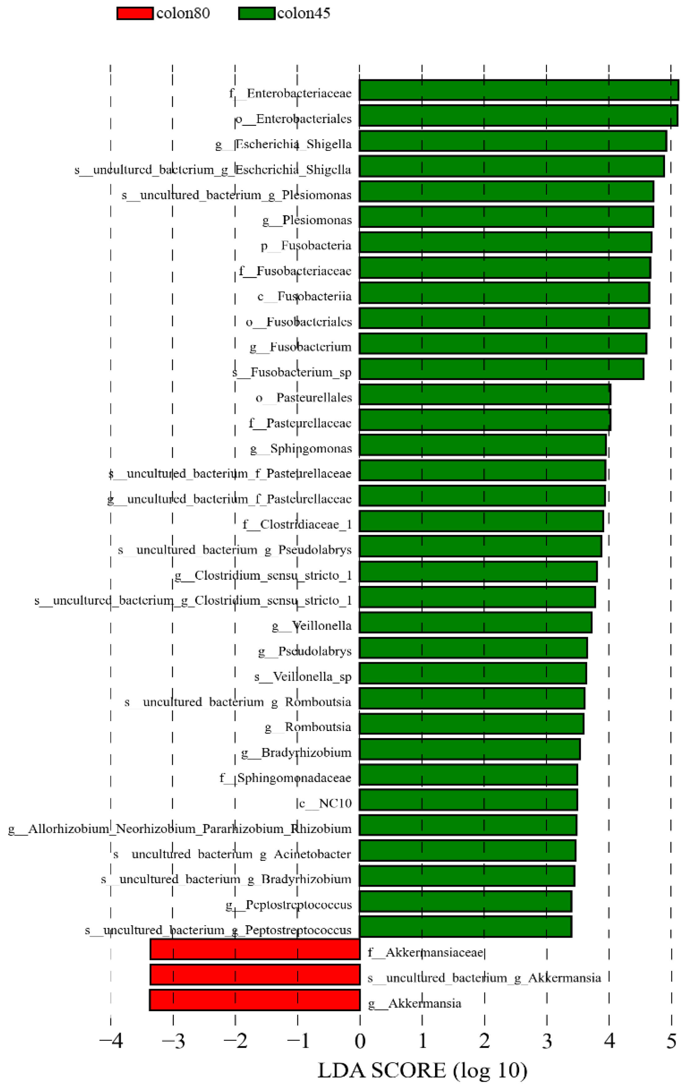 Animals 14 00210 g008