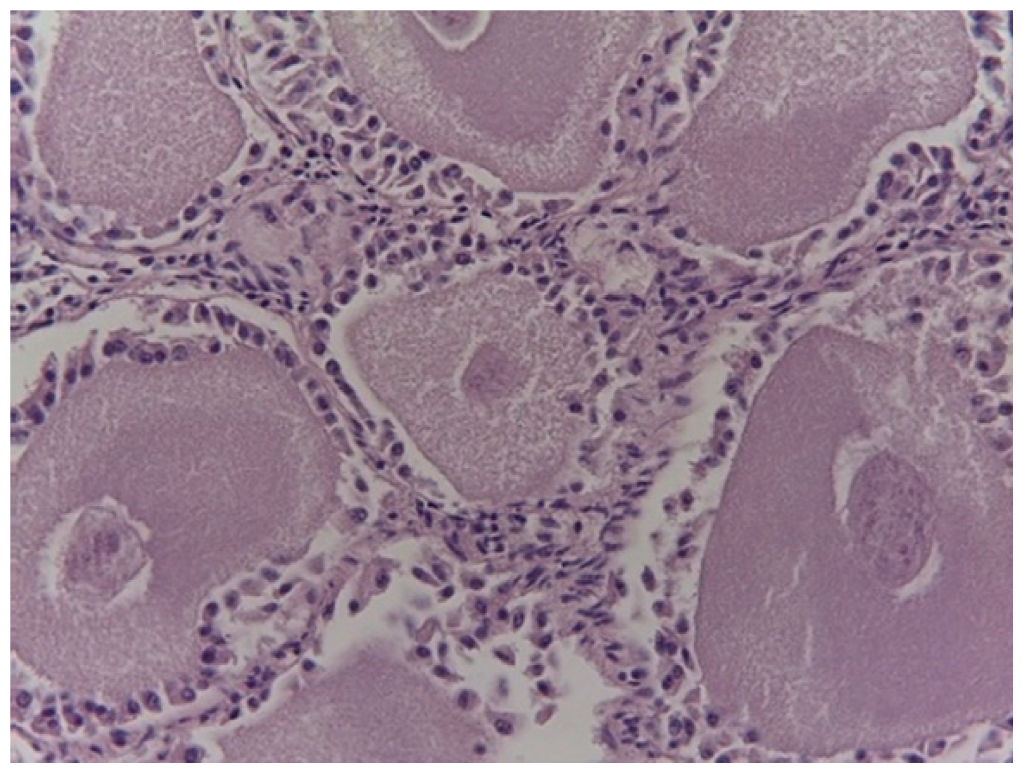 Animals 14 00215 g002 Animals 14 00215 g002