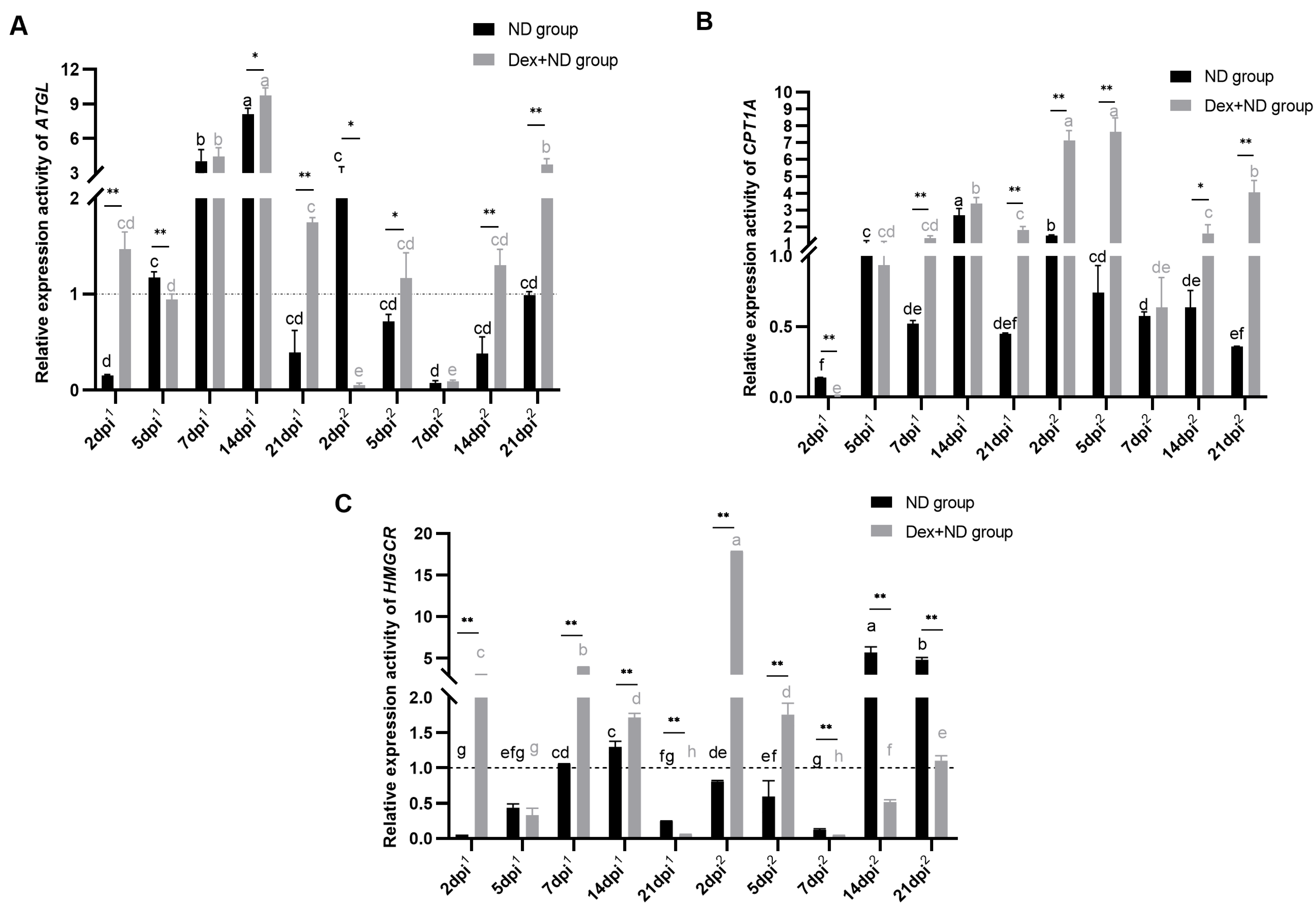 Animals 14 00225 g003