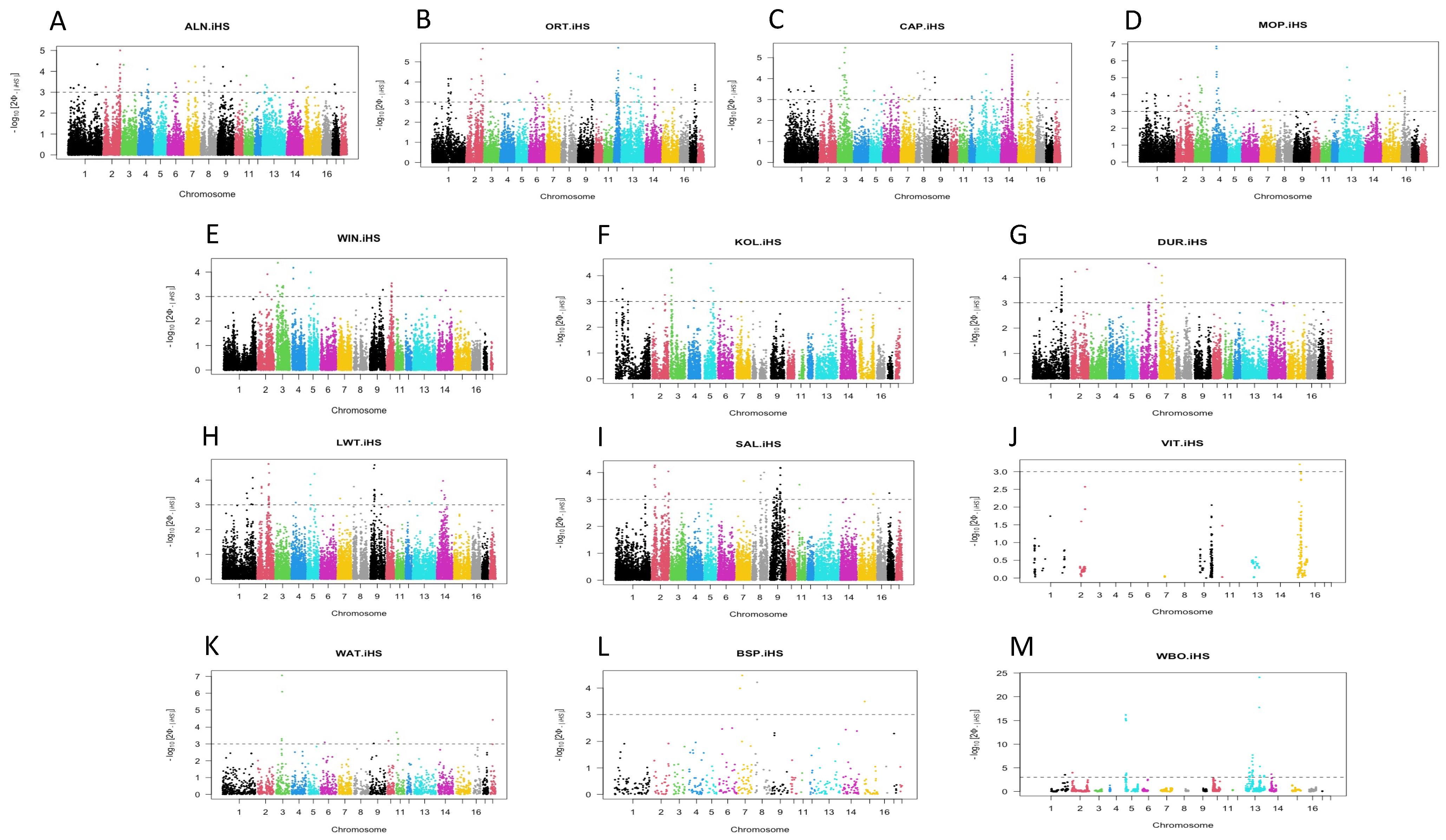Animals 14 00236 g001
