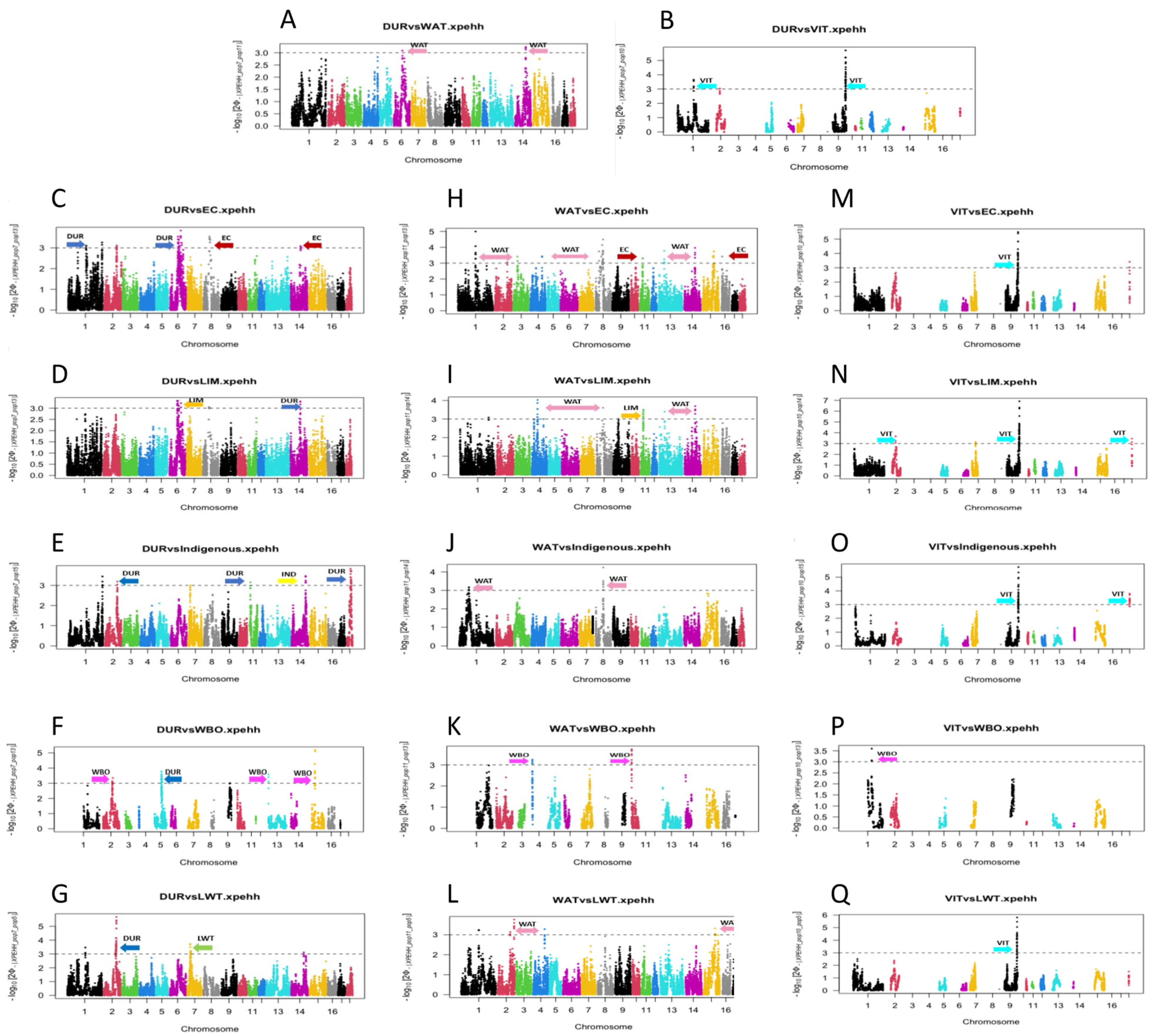 Animals 14 00236 g002