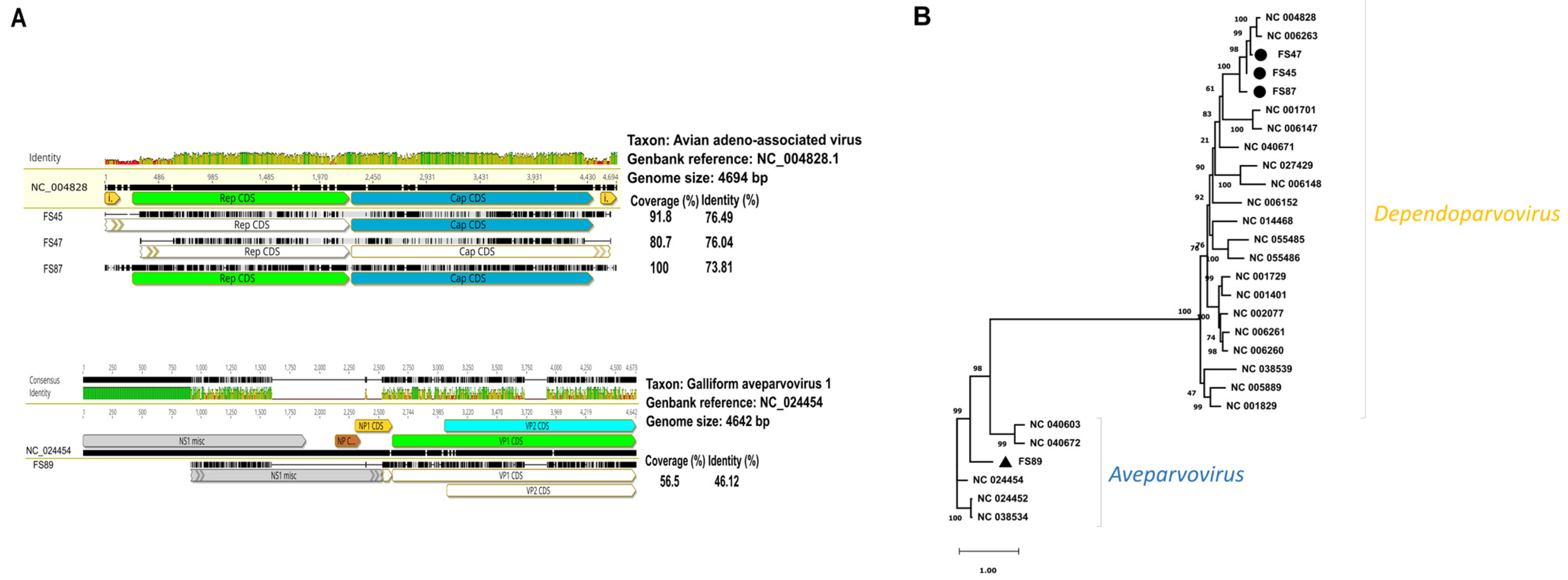 Animals 14 00237 g003