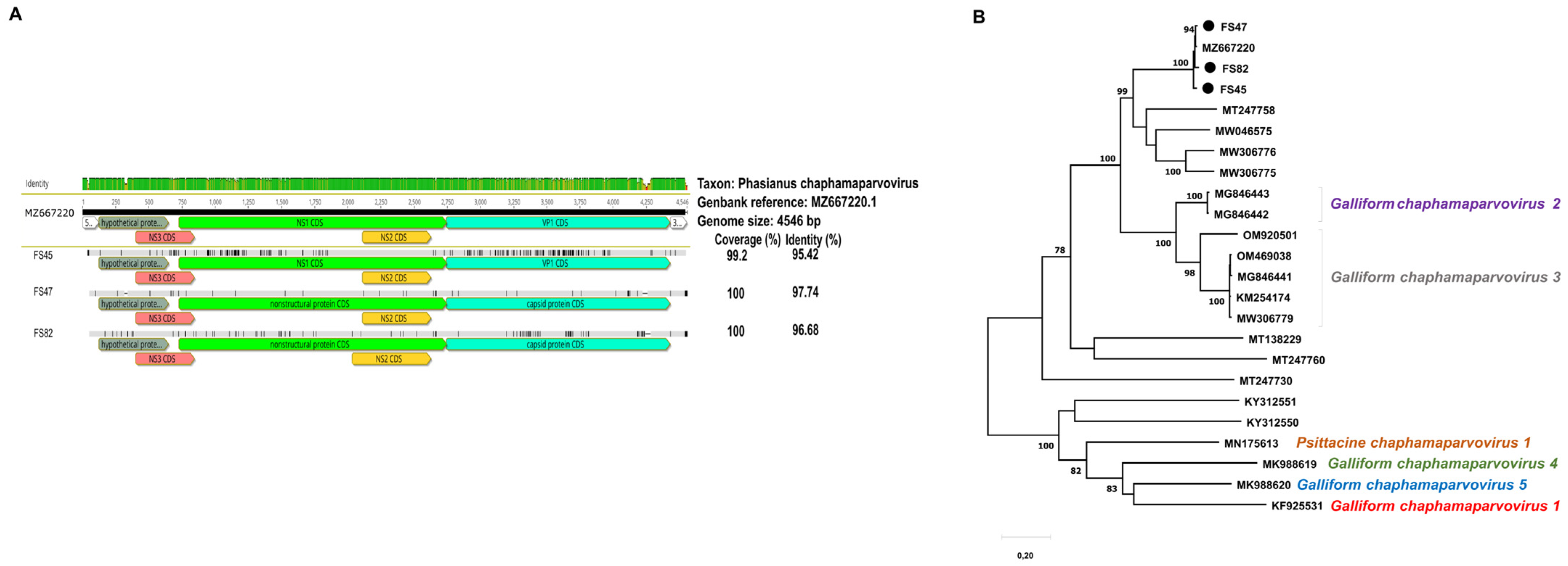 Animals 14 00237 g004