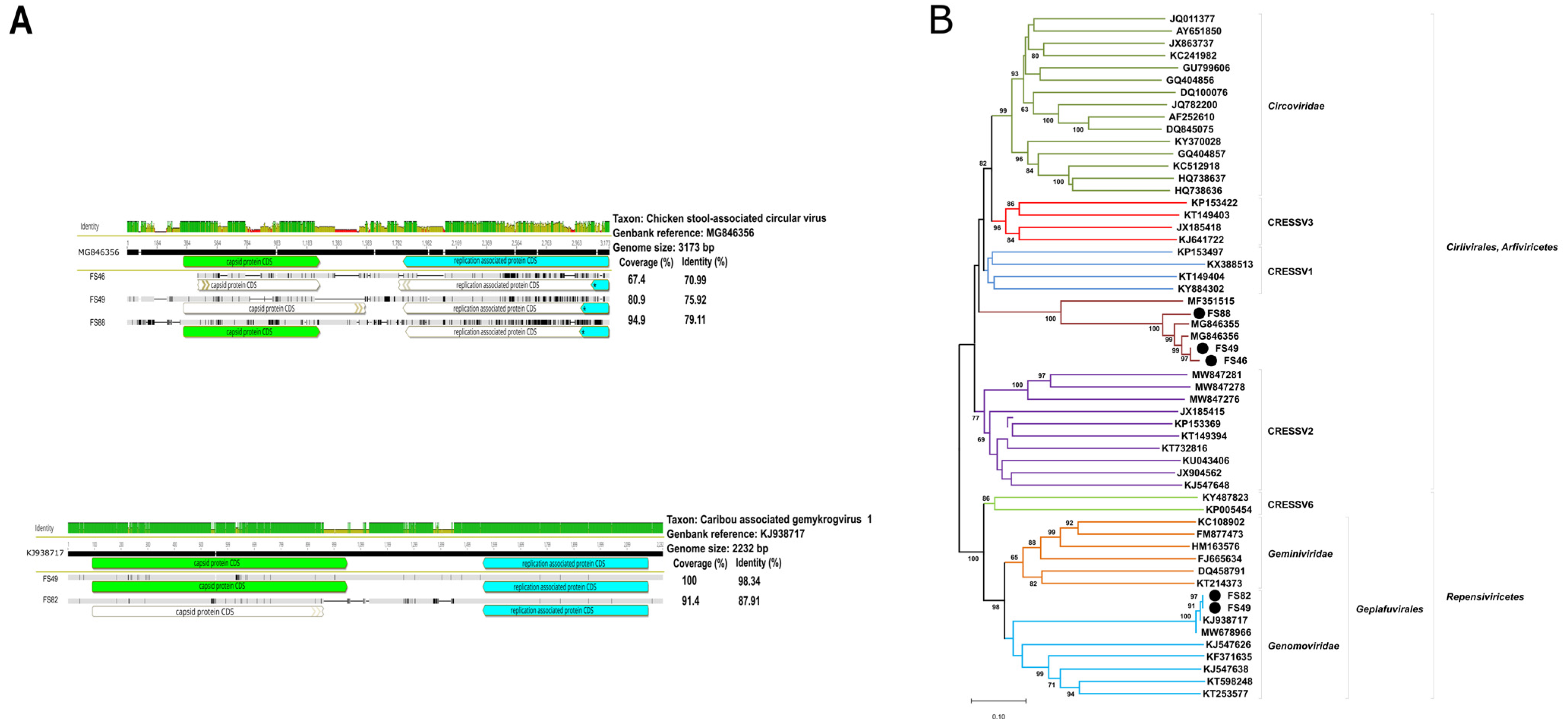 Animals 14 00237 g006