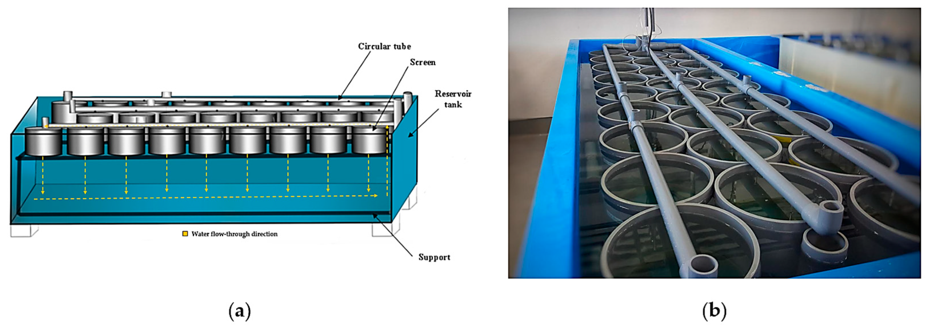 Animals 14 00239 g002