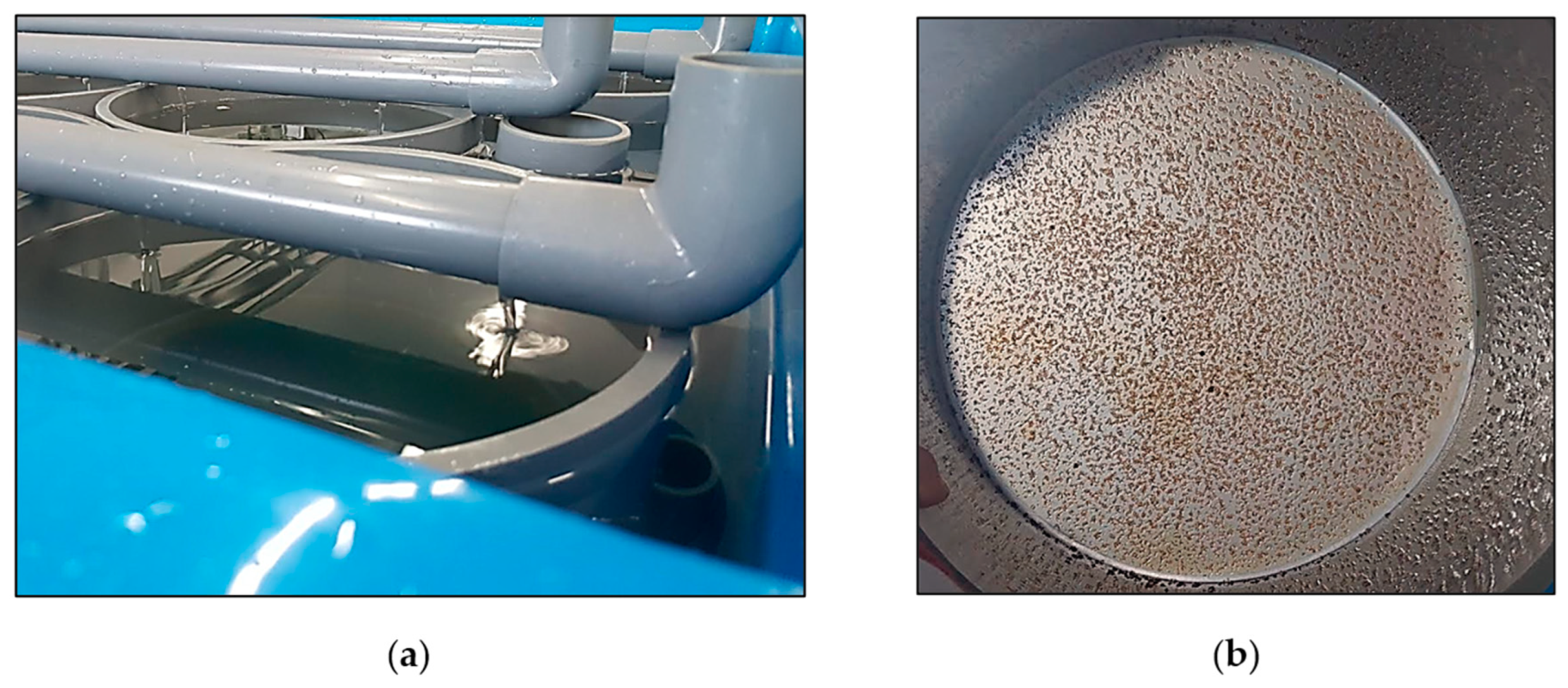 Animals 14 00239 g003