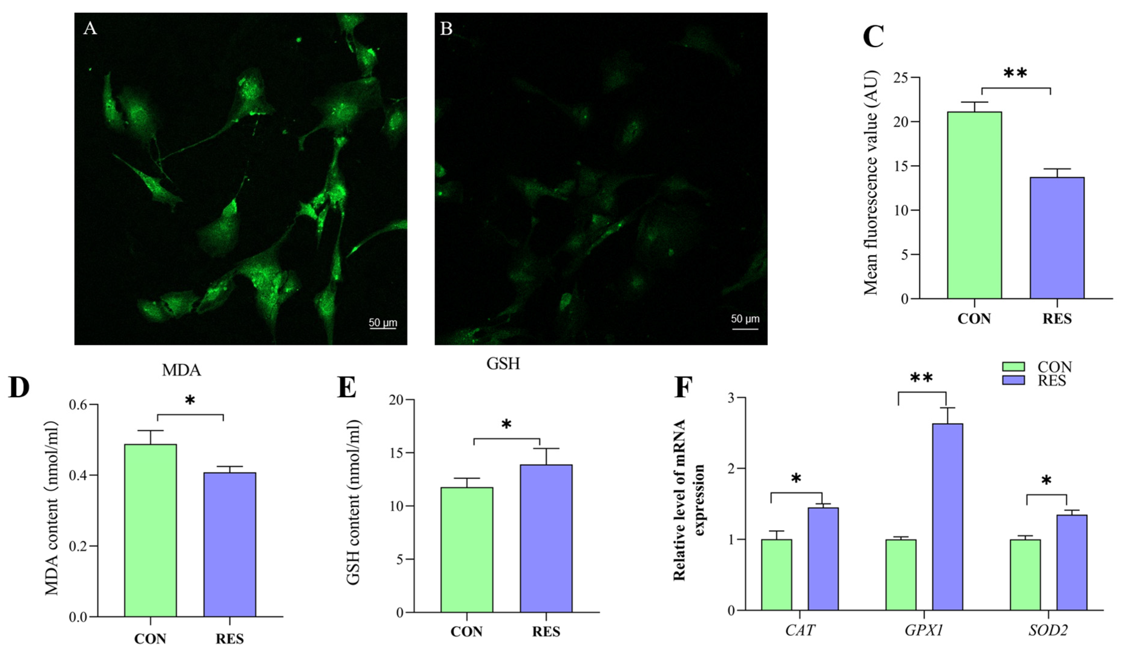 Animals 14 00240 g005