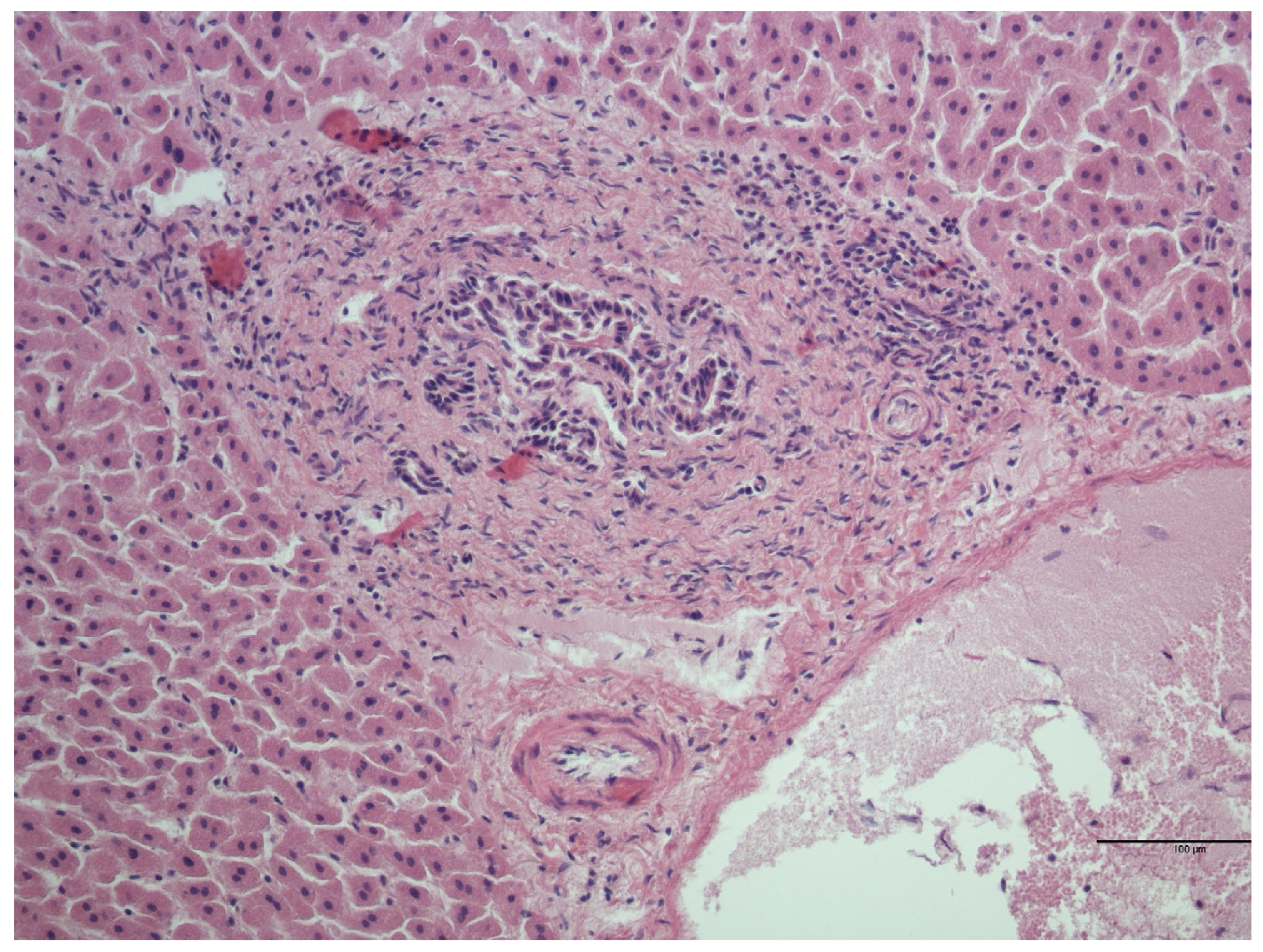 Animals 14 00245 g002