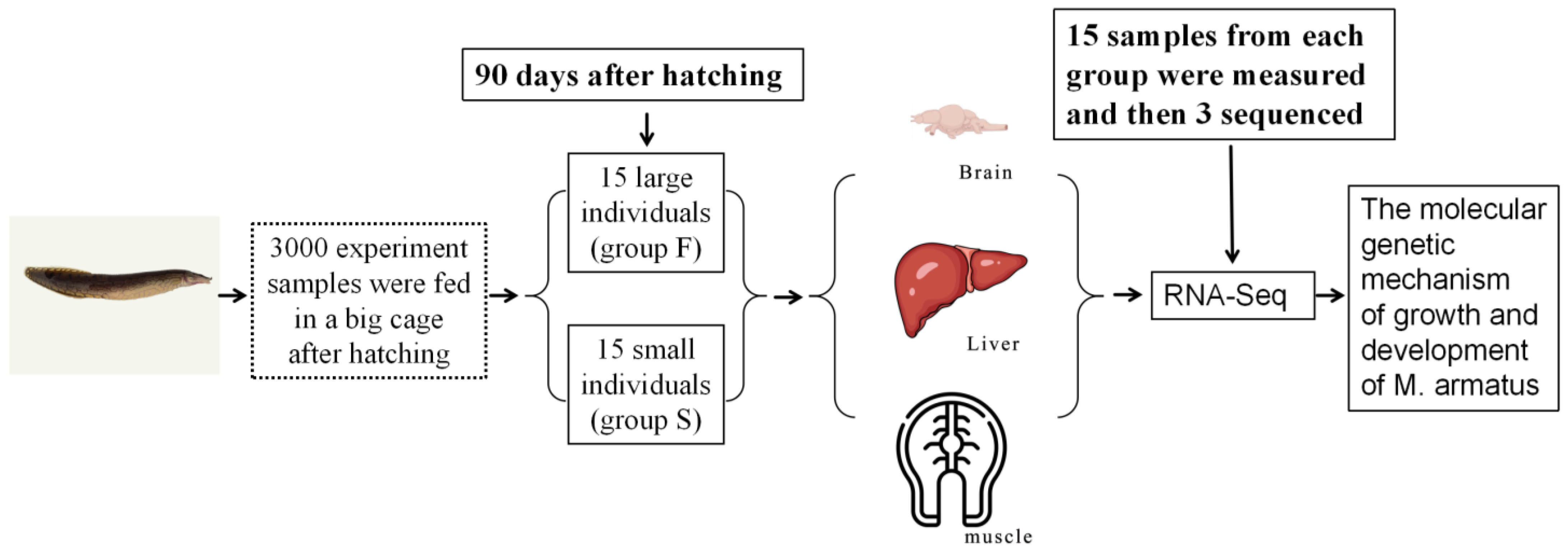 Animals 14 00248 g001 Animals 14 00248 g001