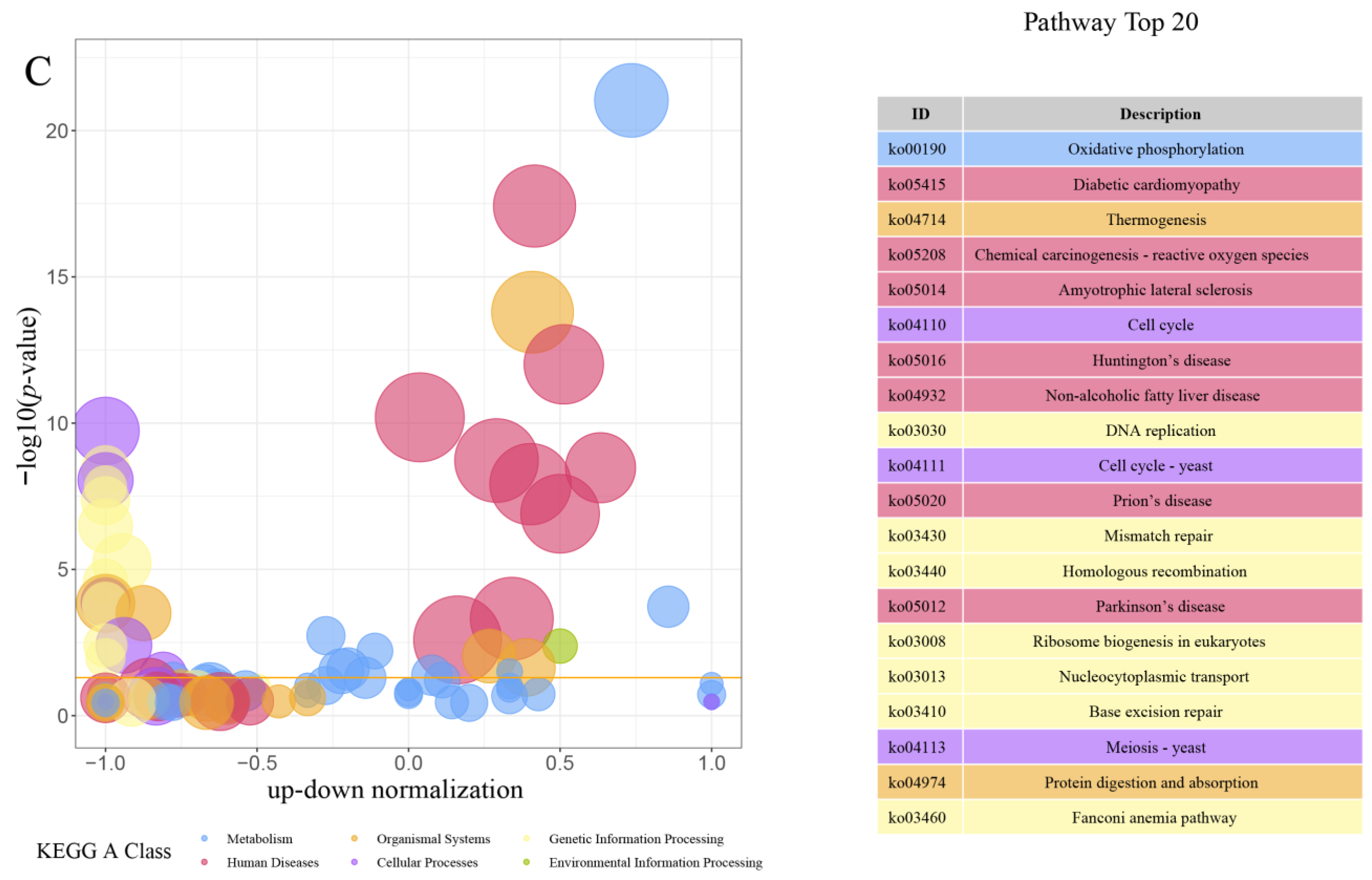 Animals 14 00248 g007b Animals 14 00248 g007b