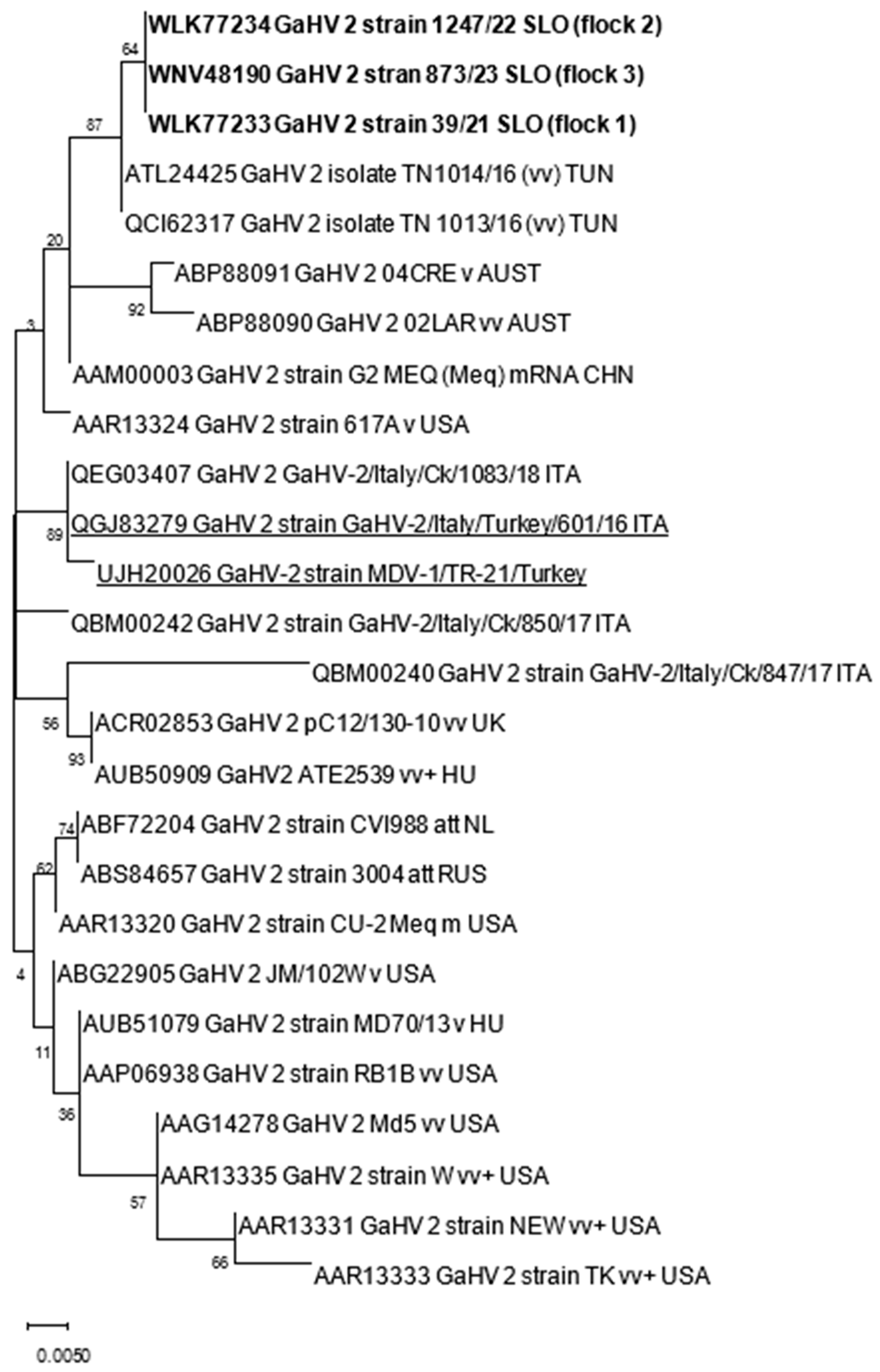 Animals 14 00250 g001