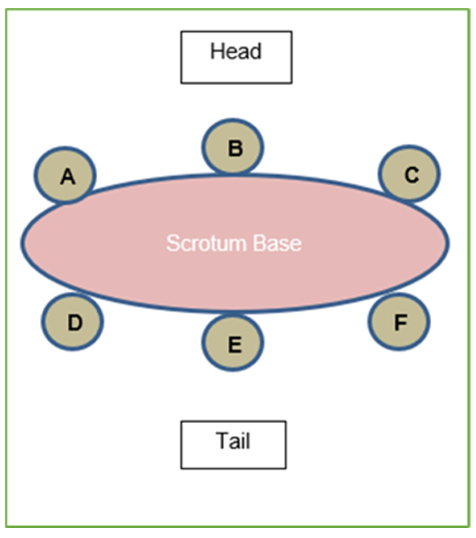 Animals 14 00255 g001 Animals 14 00255 g001