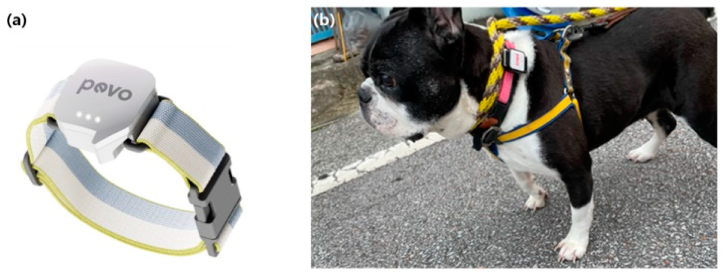 Animals 14 00256 g001