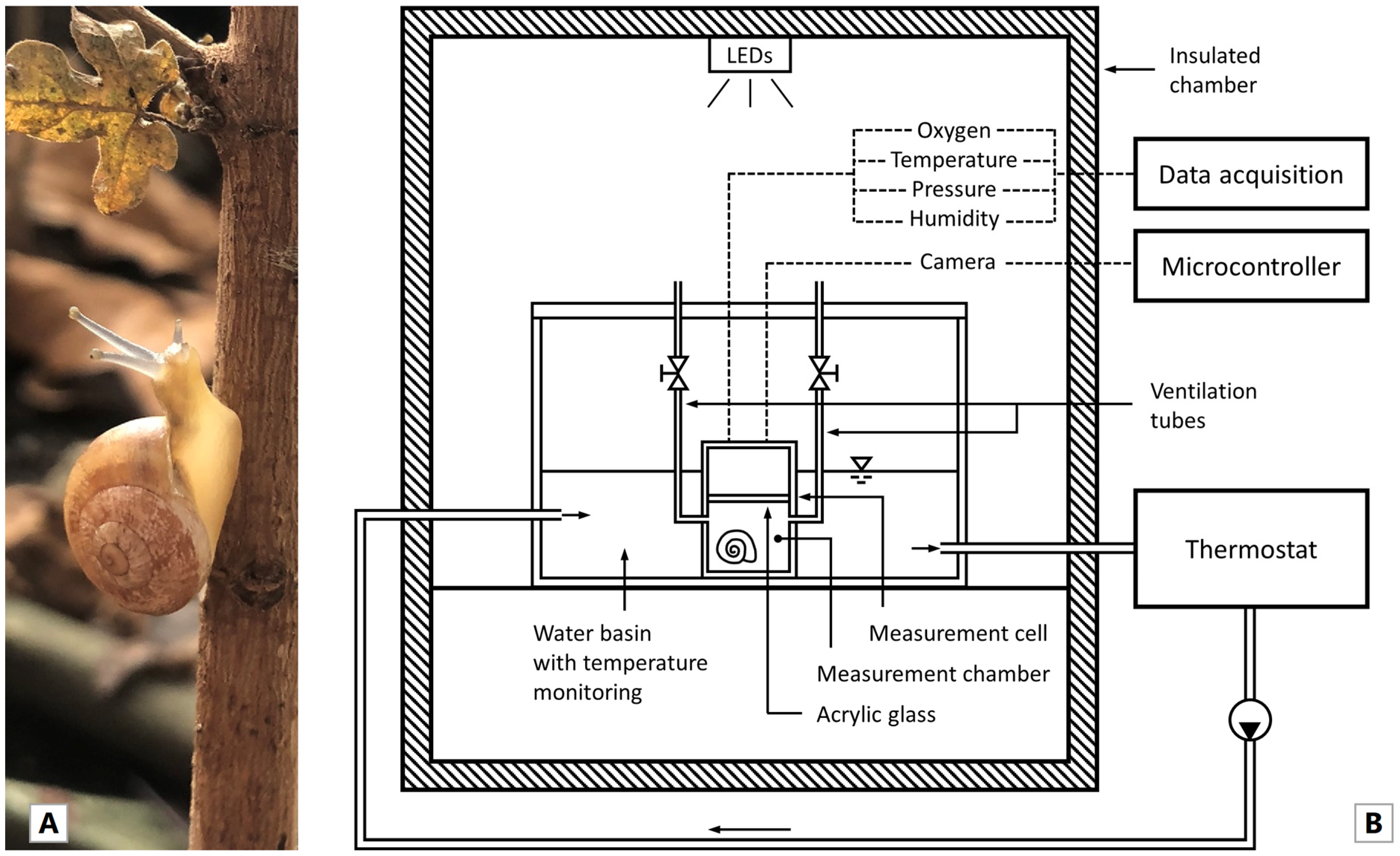 Animals 14 00261 g001
