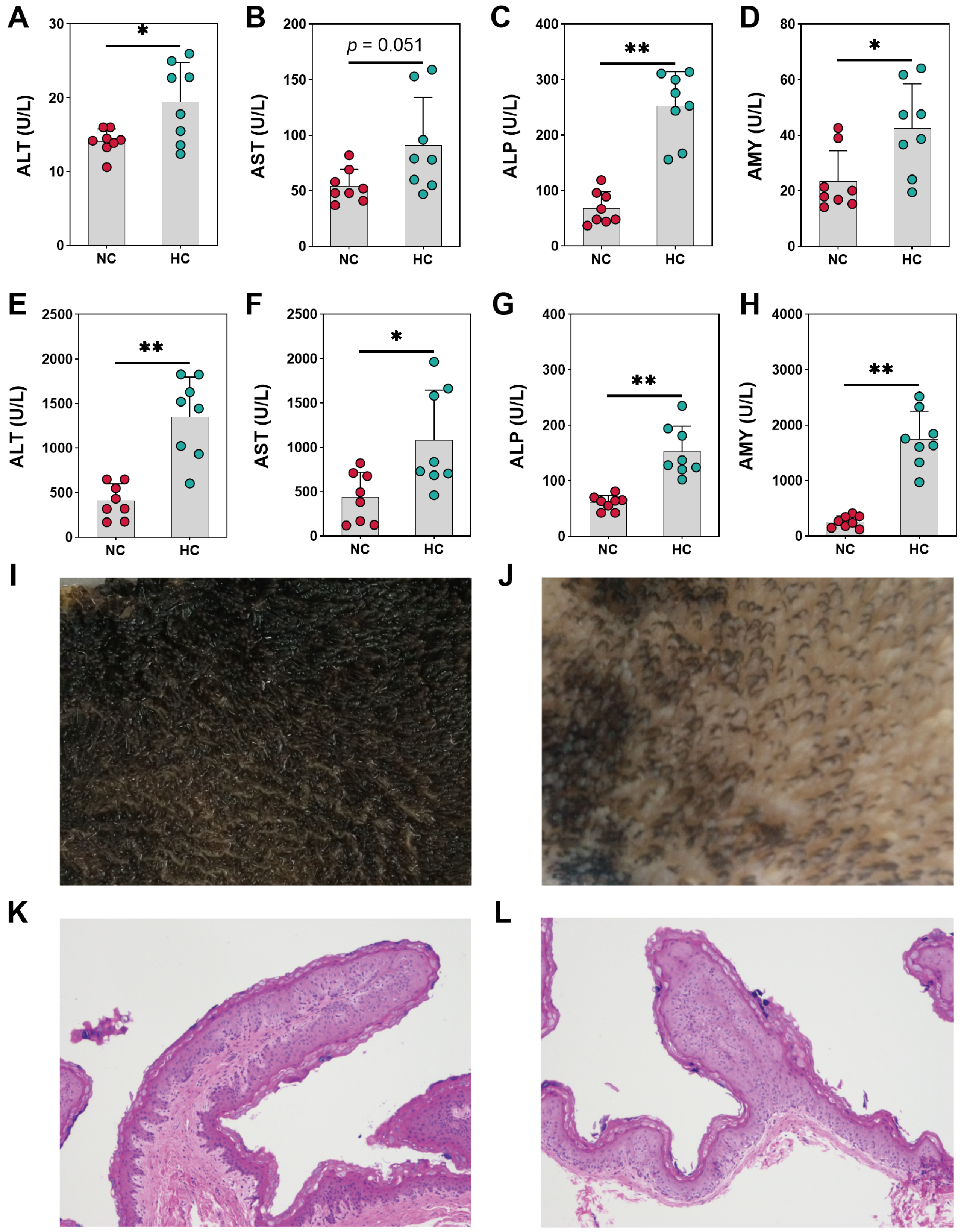 Animals 14 00263 g002