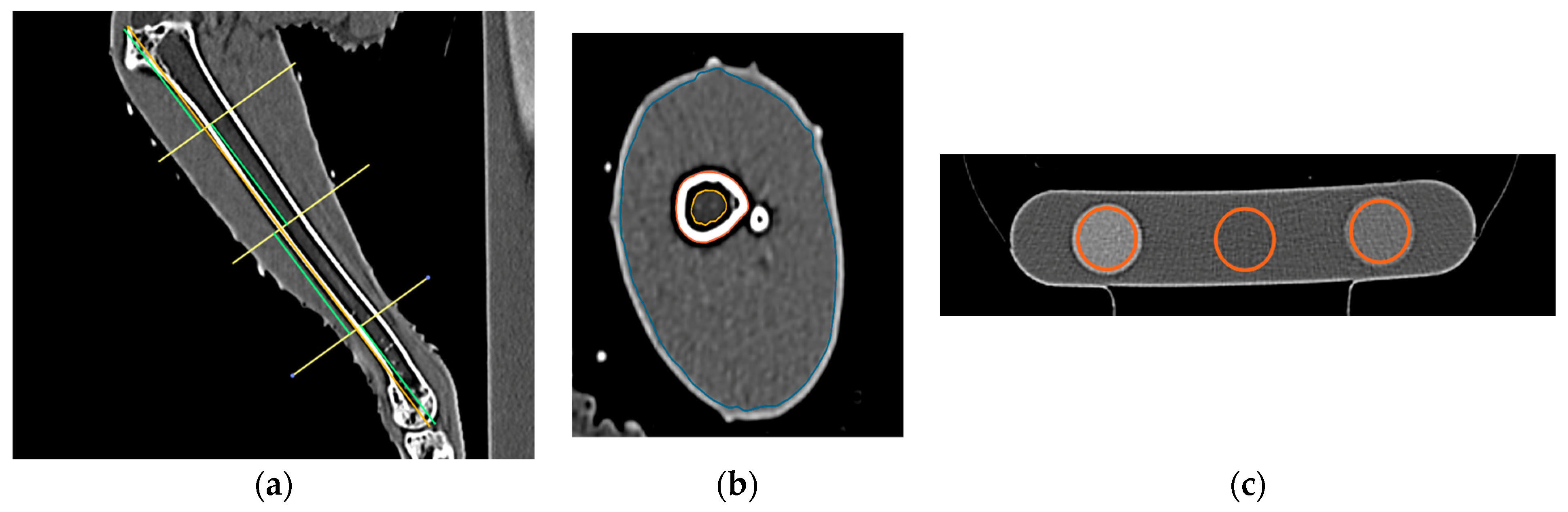 Animals 14 00265 g002