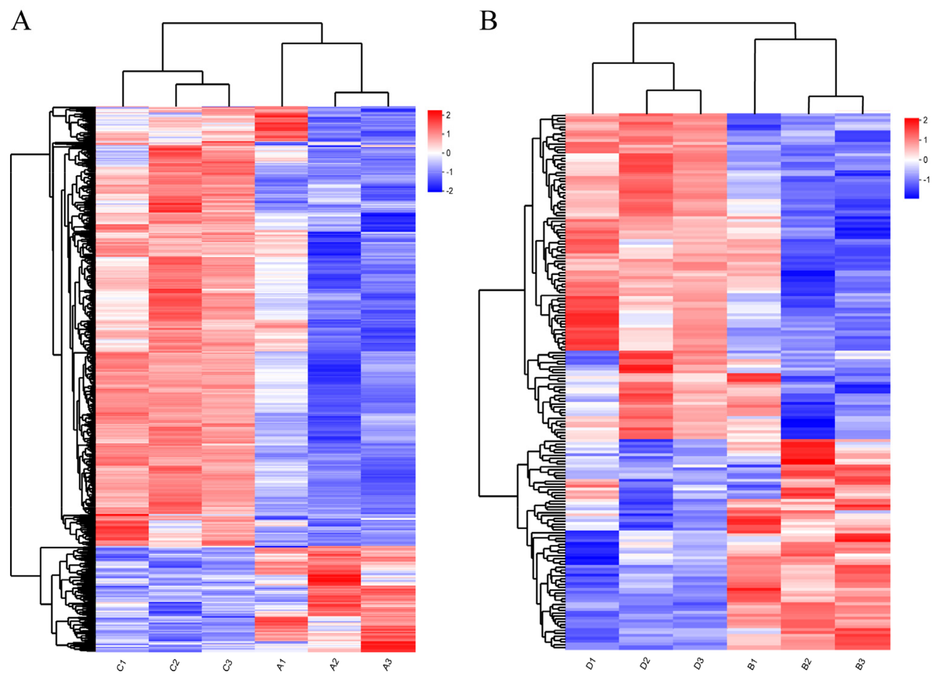 Animals 14 00268 g002