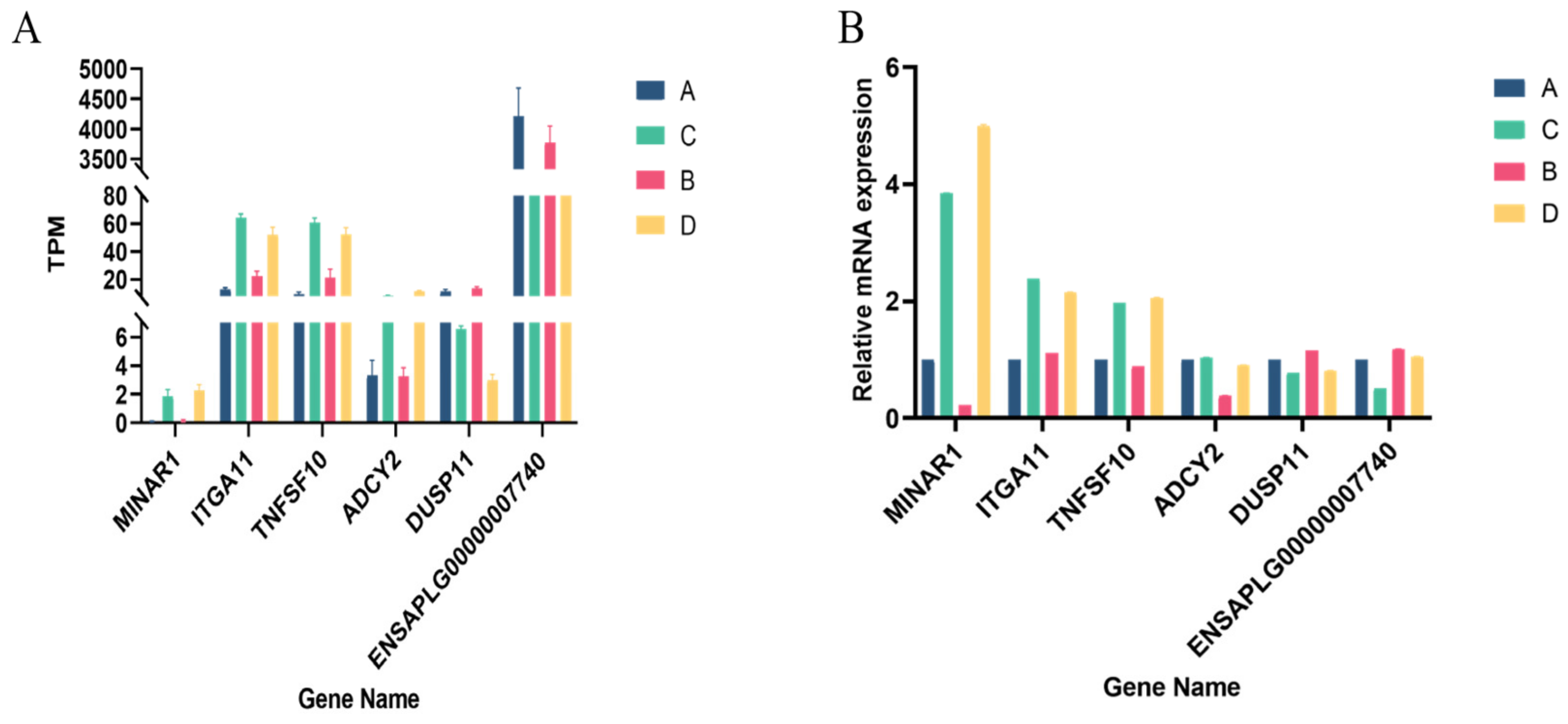 Animals 14 00268 g005