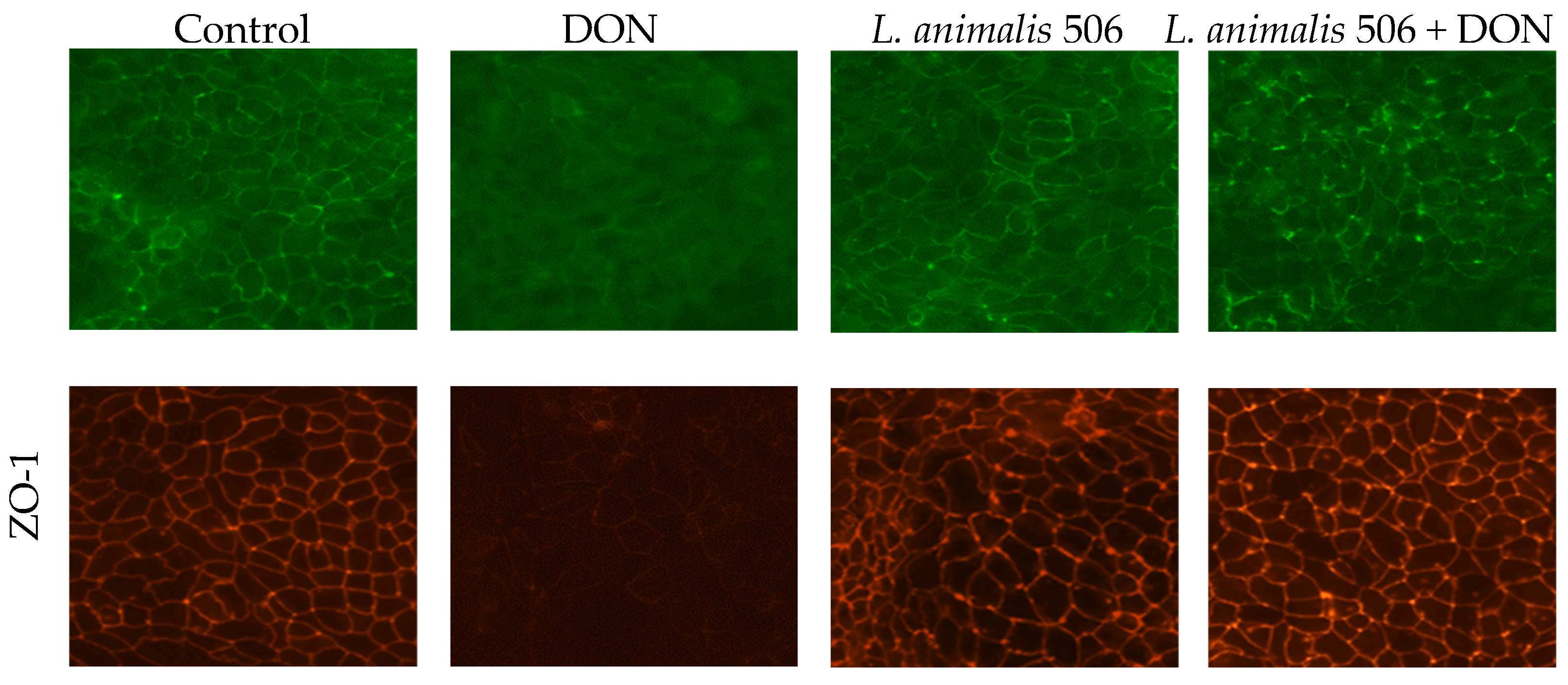 Animals 14 00269 g005