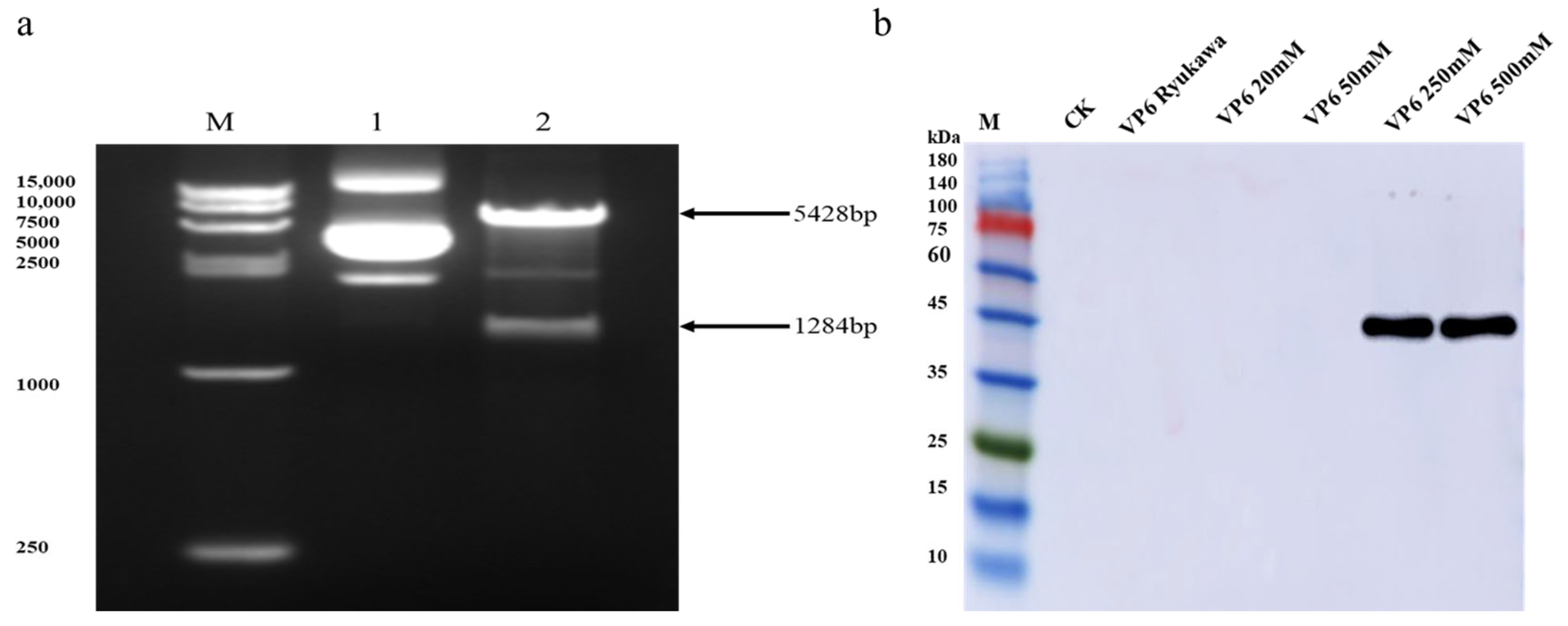 Animals 14 00271 g001