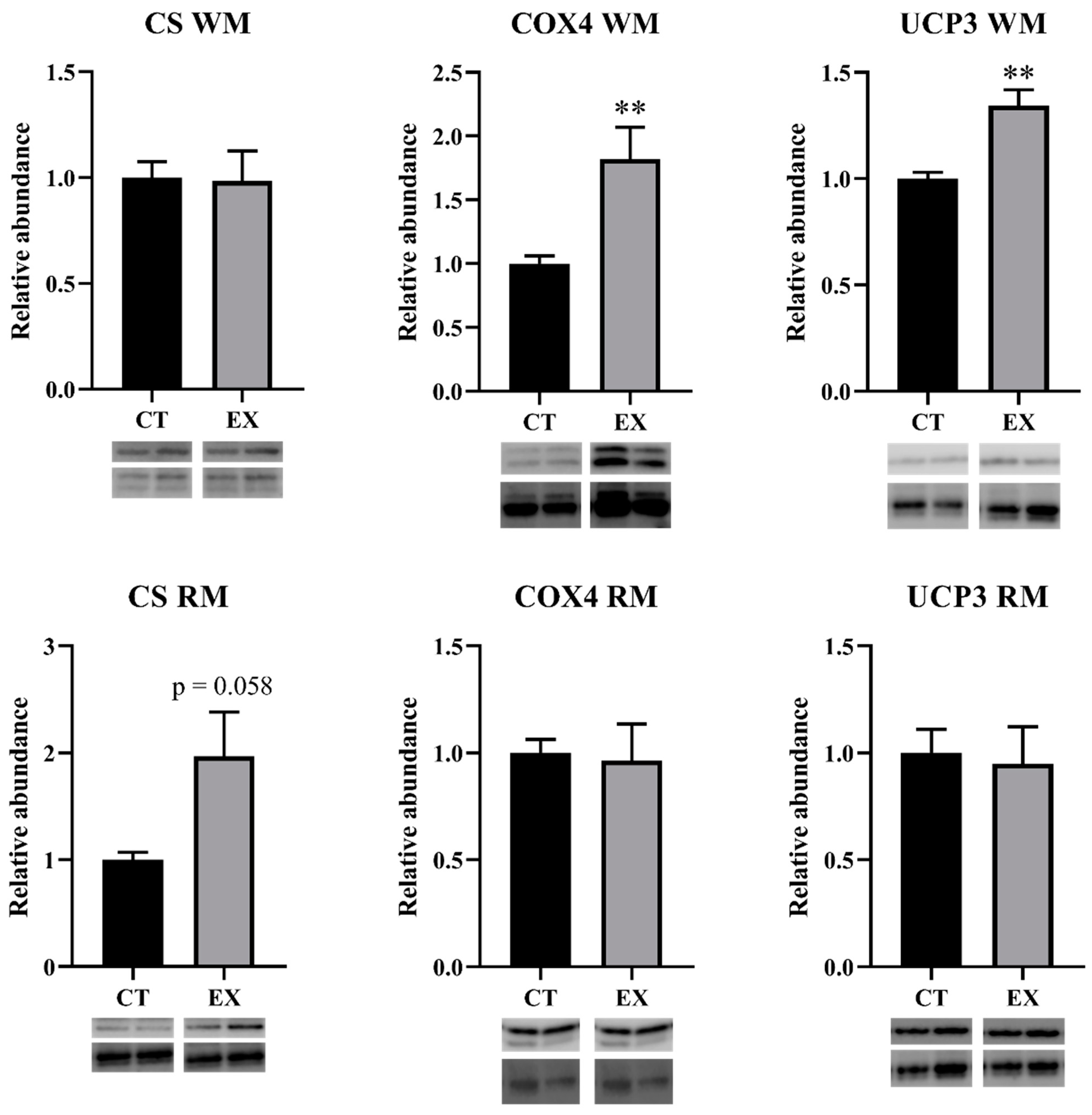 Animals 14 00274 g004