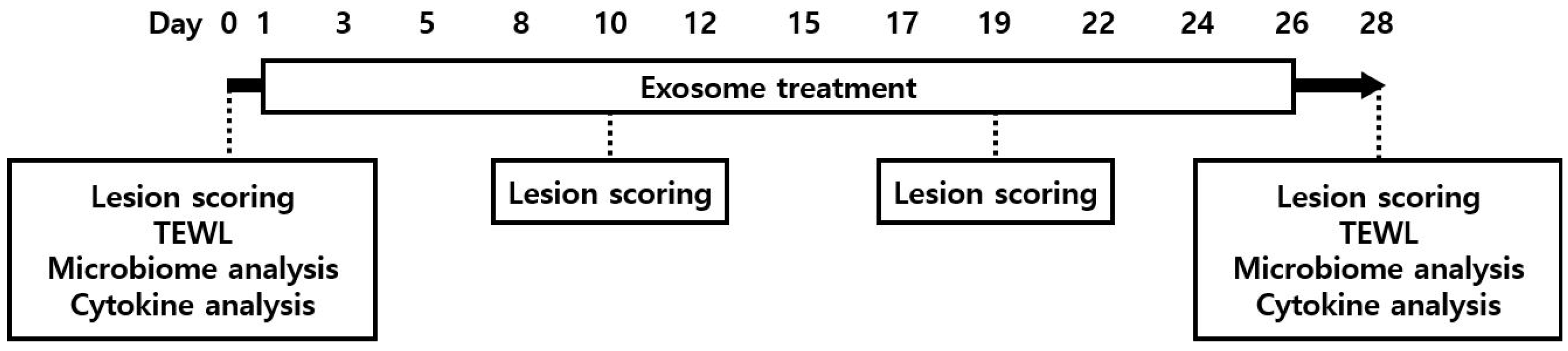 Animals 14 00282 g001