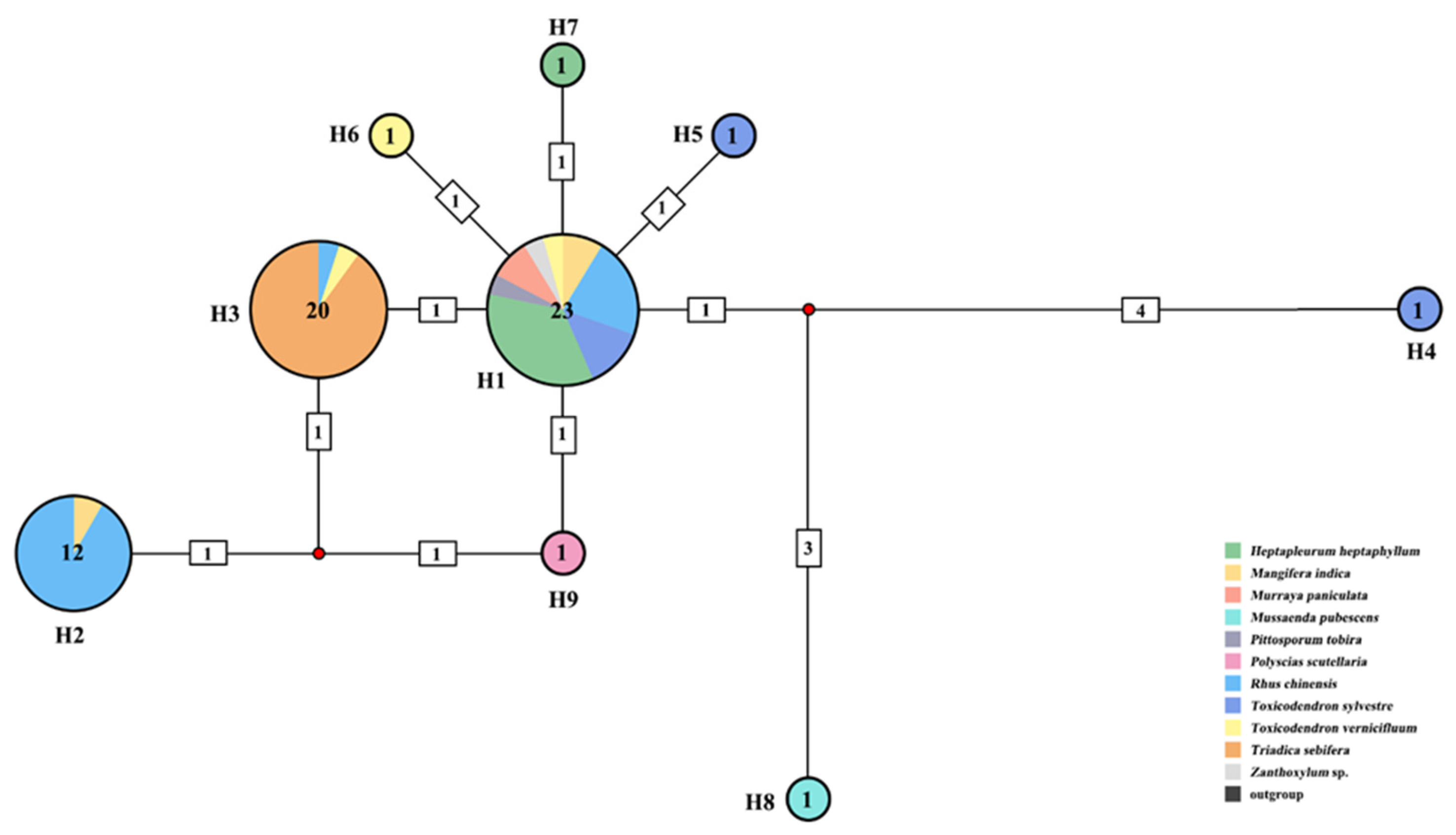 Animals 14 00283 g002