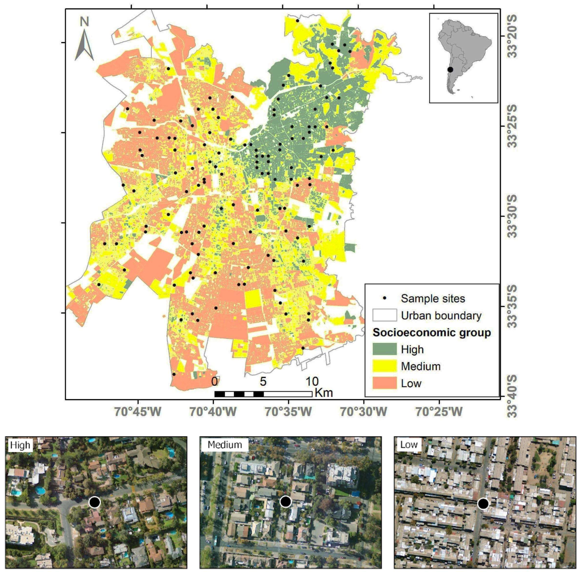 Animals 14 00299 g001