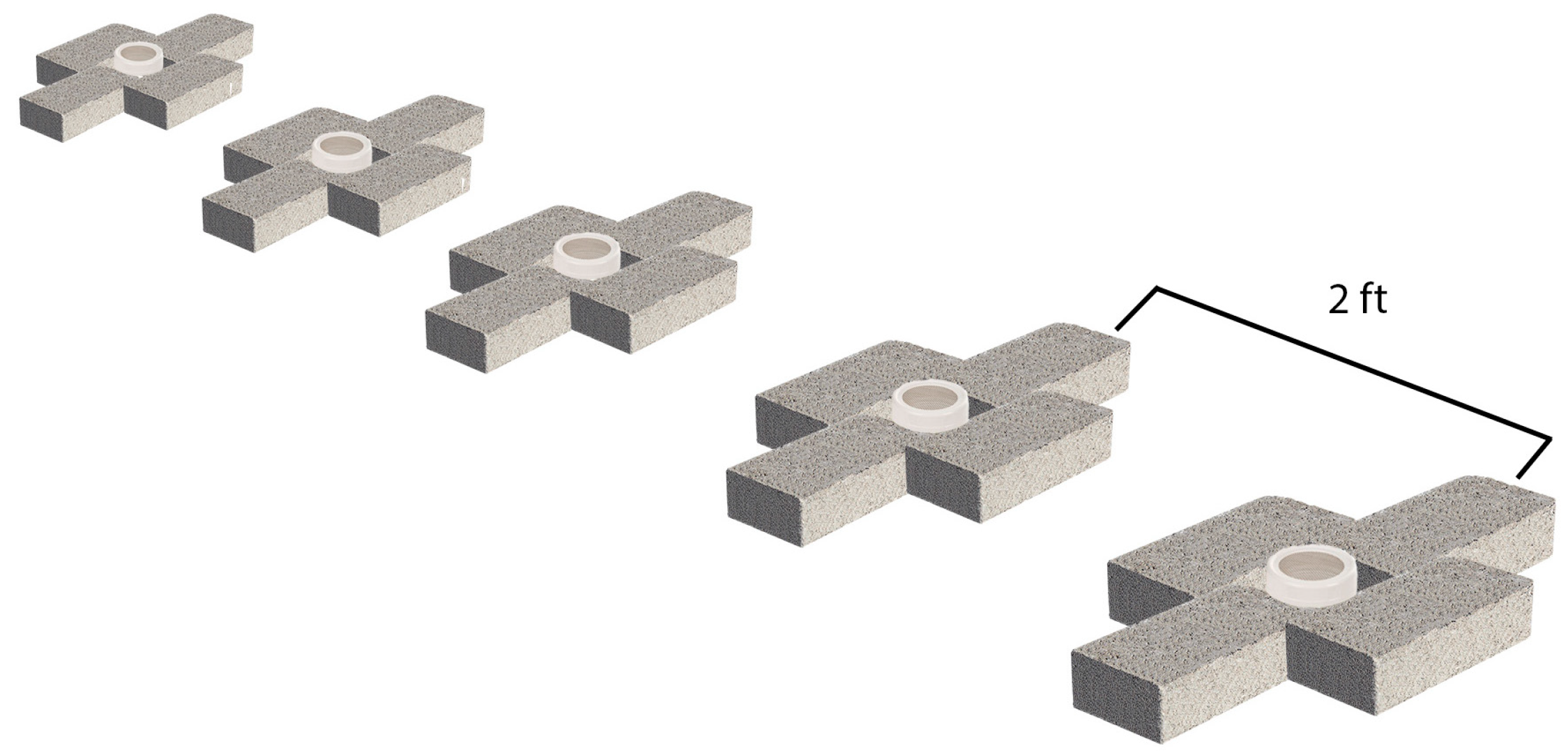 Animals 14 00300 g001