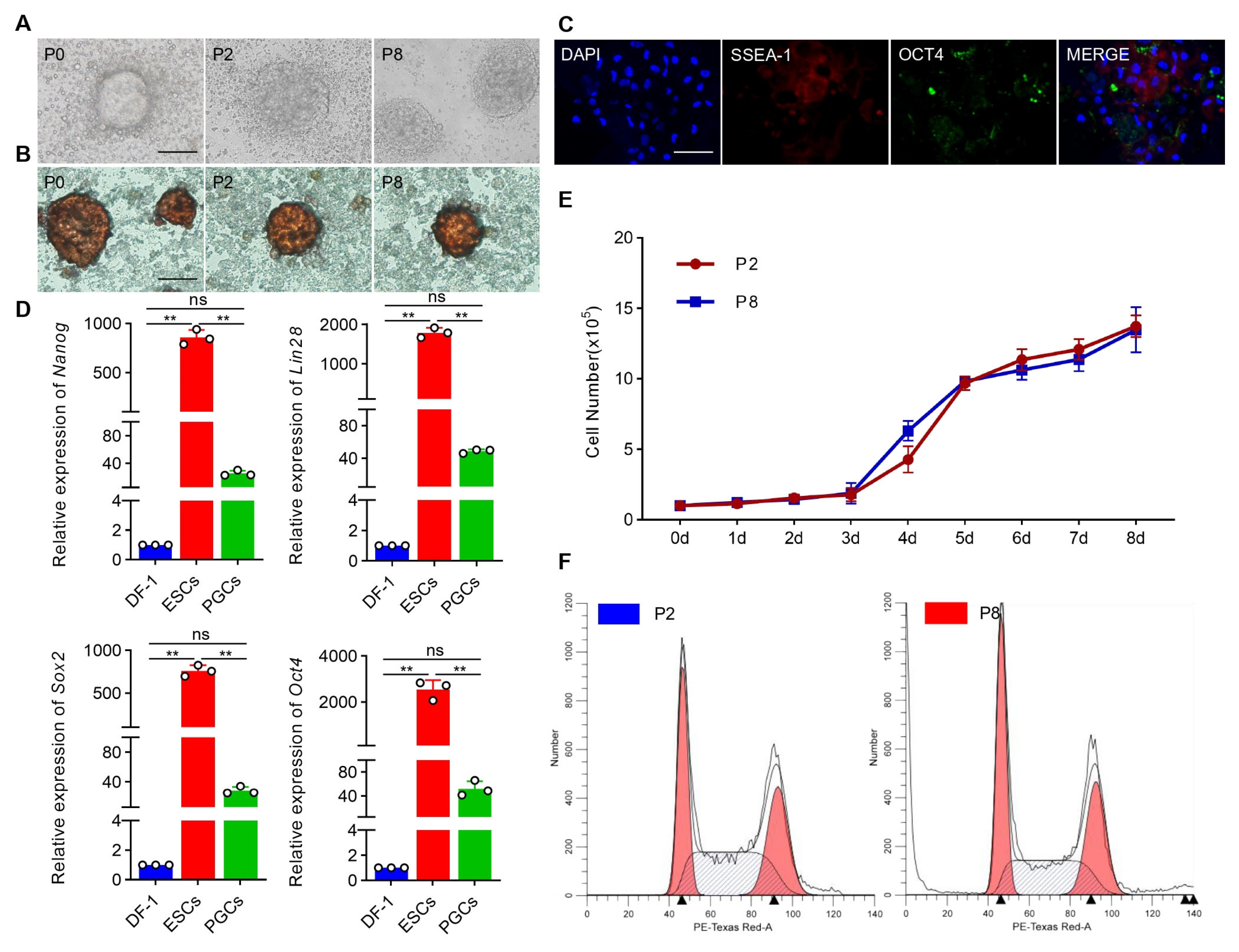 Animals 14 00302 g001